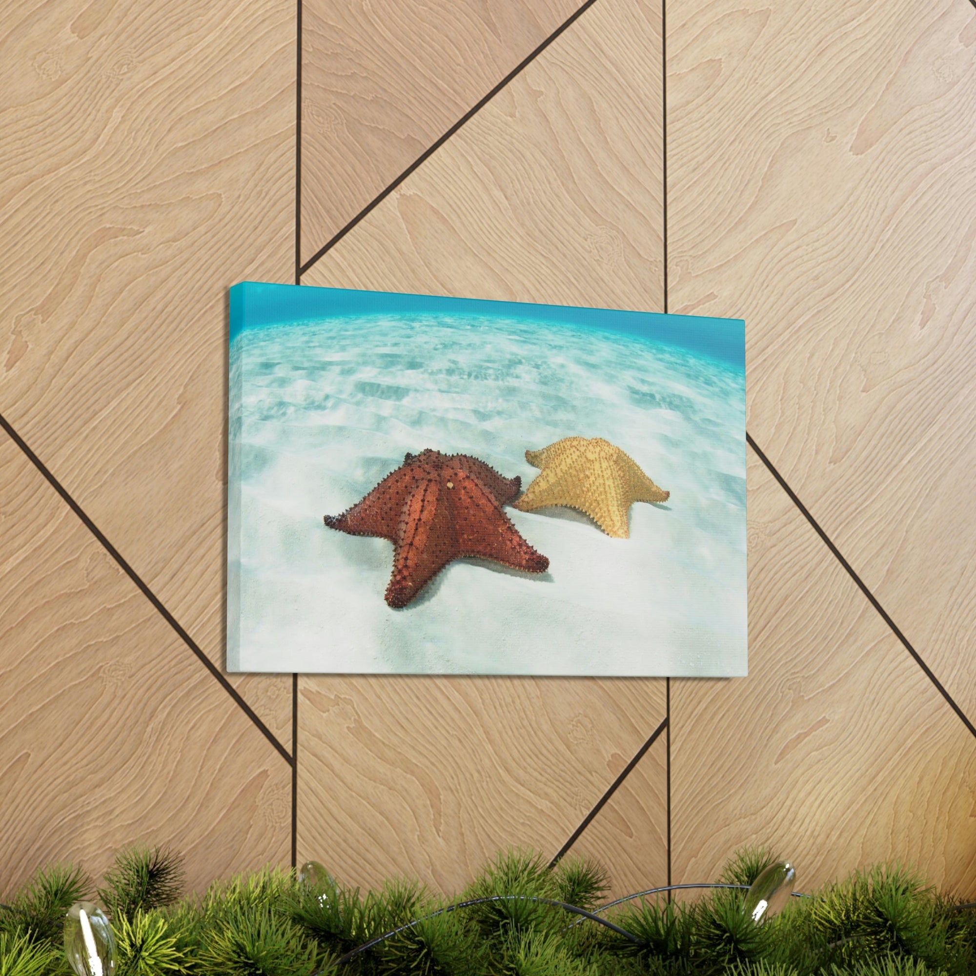 Scripture Walls Starfish Couple Starfish Couple Print Animal Wall Art Wildlife Canvas Prints Wall Art Ready to Hang Unframed-Express Your Love Gifts