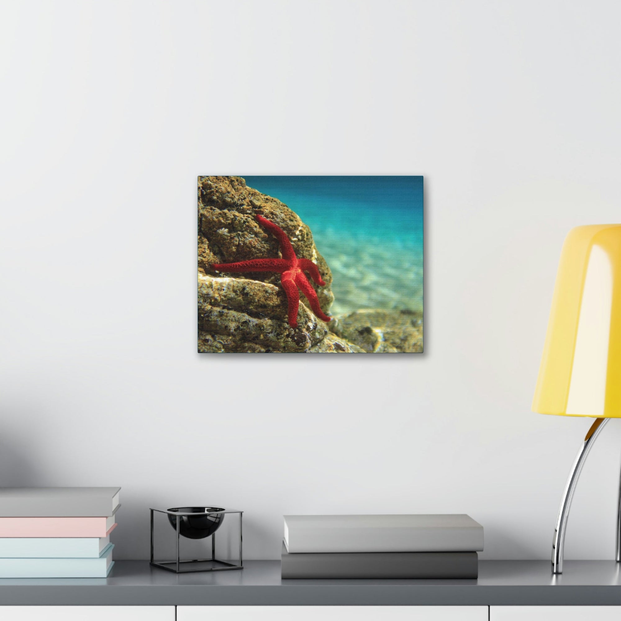 Scripture Walls Starfish Hunting Starfish on Hunt Print Animal Wall Art Wildlife Canvas Prints Wall Art Ready to Hang Unframed-Express Your Love Gifts