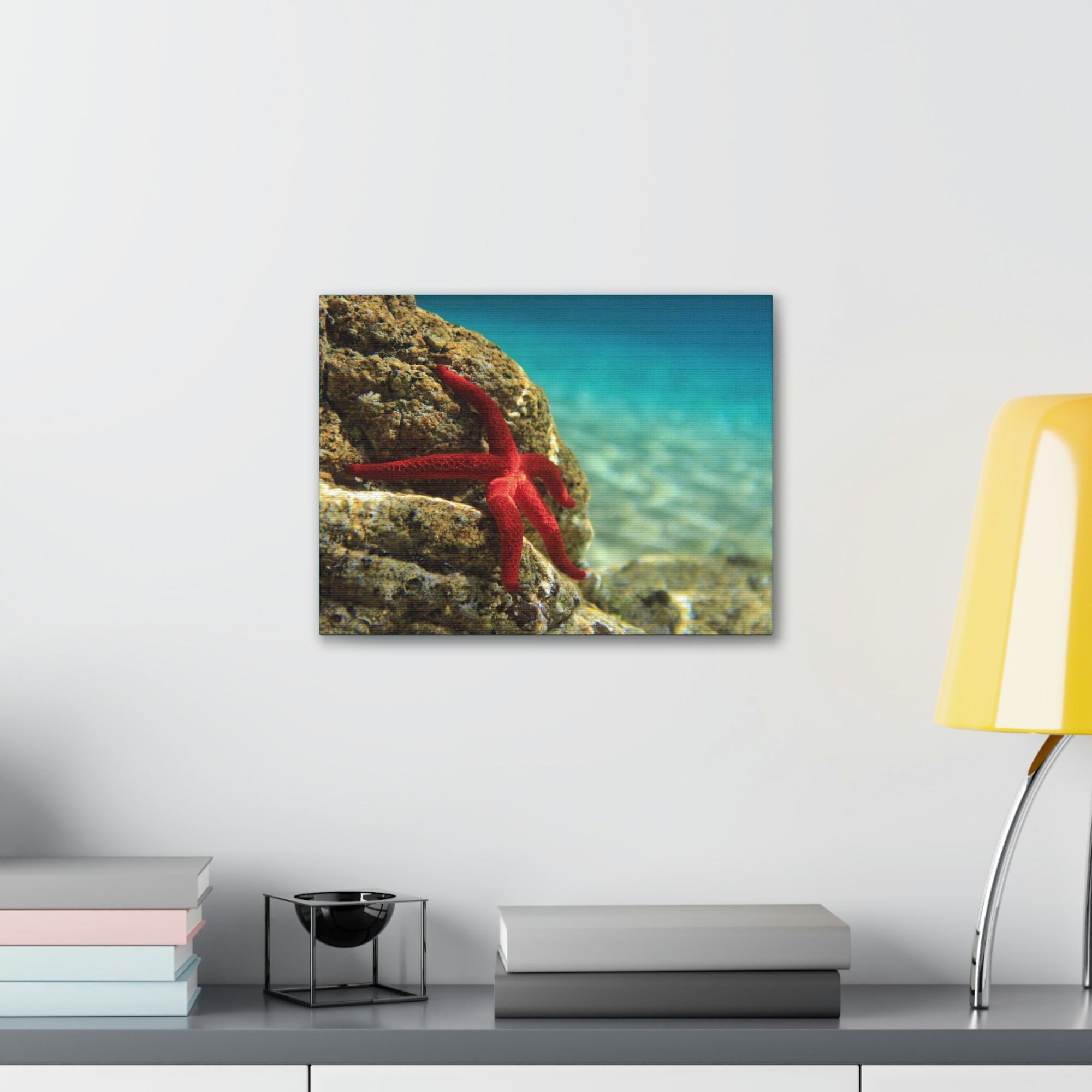 Scripture Walls Starfish Hunting Starfish on Hunt Print Animal Wall Art Wildlife Canvas Prints Wall Art Ready to Hang Unframed-Express Your Love Gifts