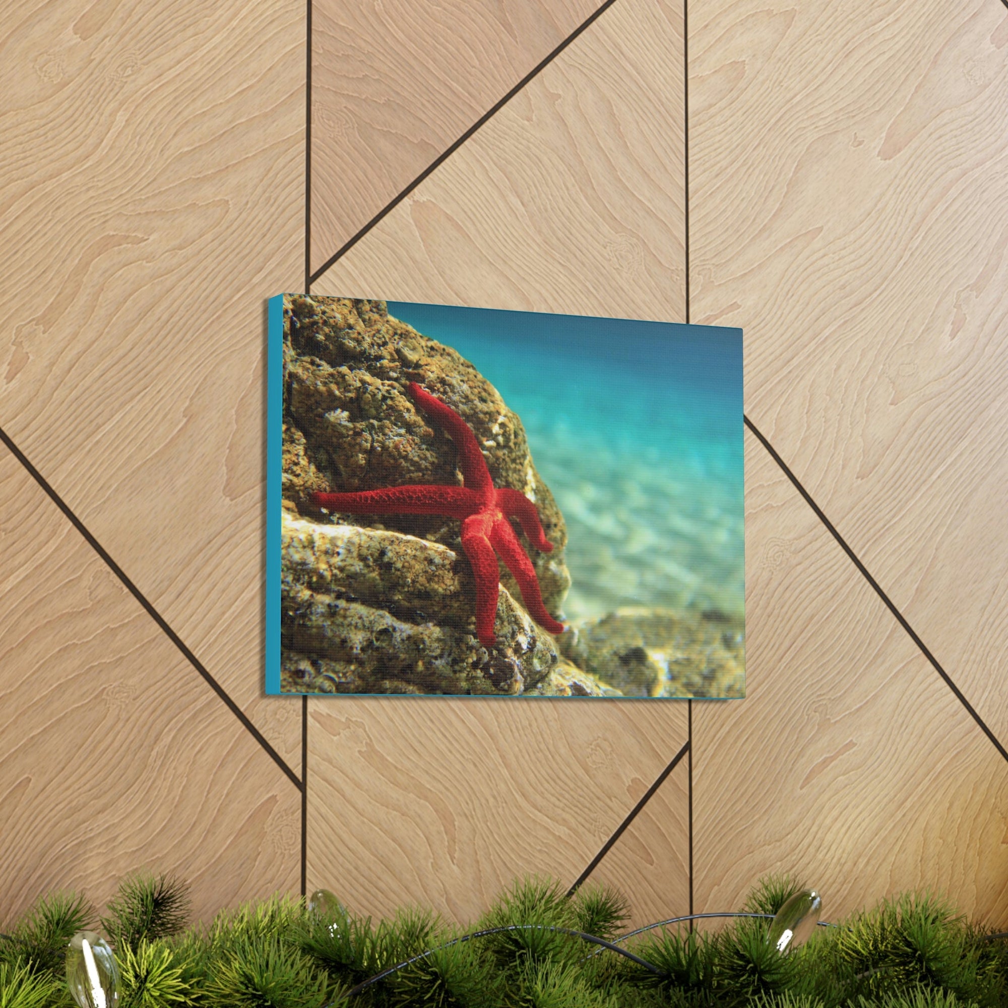 Scripture Walls Starfish Hunting Starfish on Hunt Print Animal Wall Art Wildlife Canvas Prints Wall Art Ready to Hang Unframed-Express Your Love Gifts