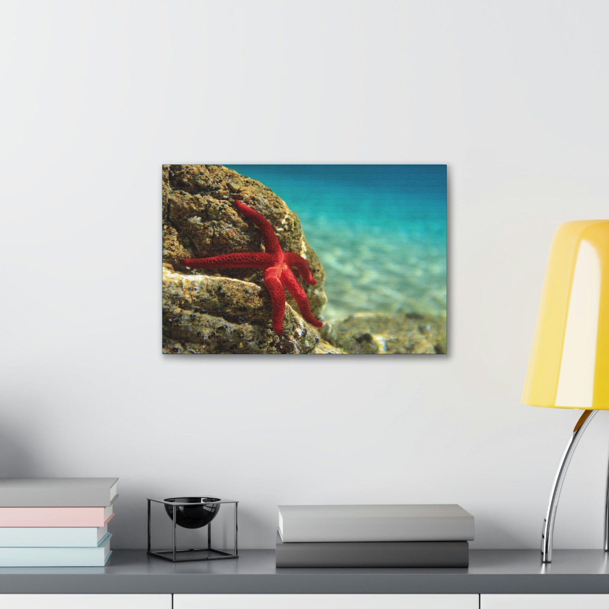 Scripture Walls Starfish Hunting Starfish on Hunt Print Animal Wall Art Wildlife Canvas Prints Wall Art Ready to Hang Unframed-Express Your Love Gifts