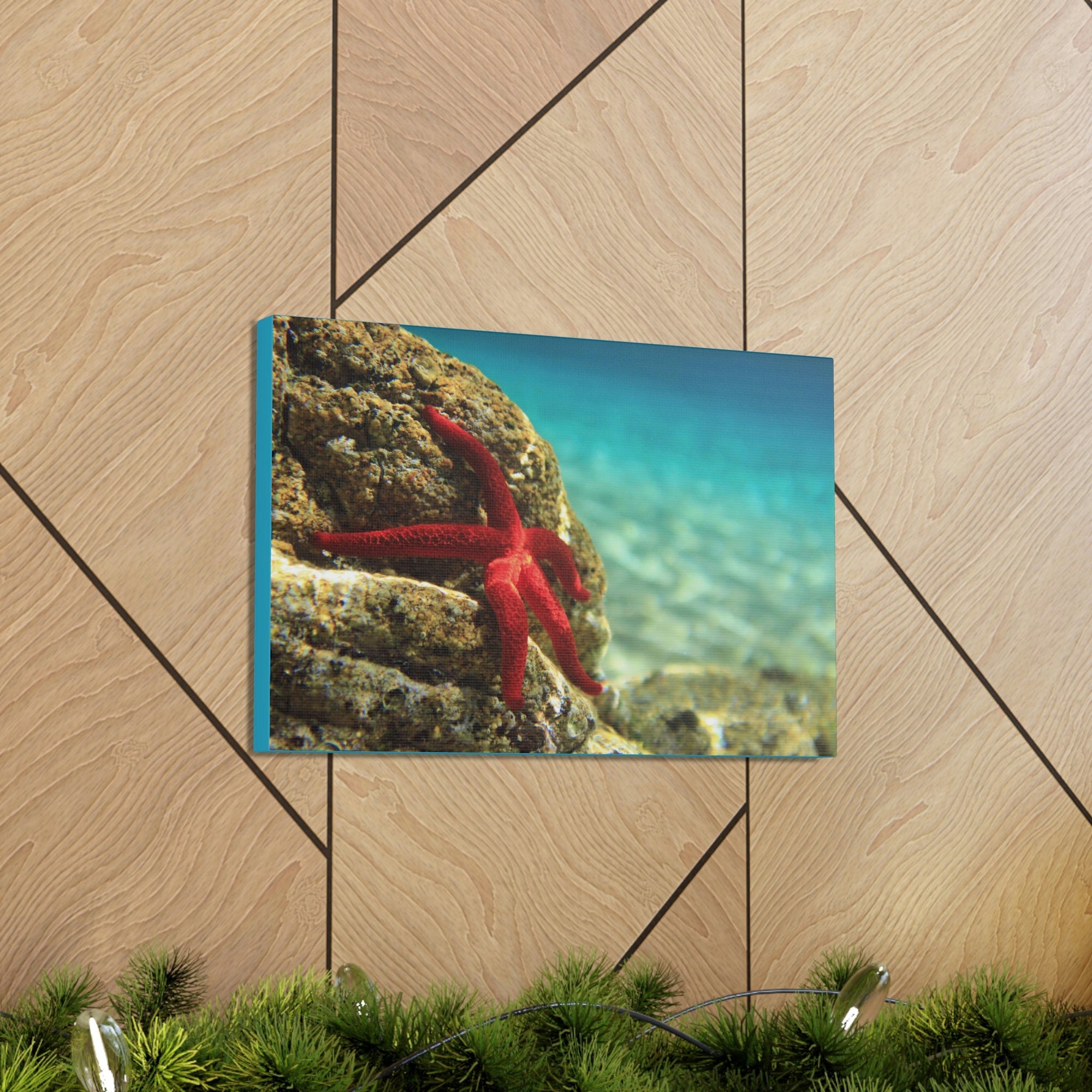 Scripture Walls Starfish Hunting Starfish on Hunt Print Animal Wall Art Wildlife Canvas Prints Wall Art Ready to Hang Unframed-Express Your Love Gifts