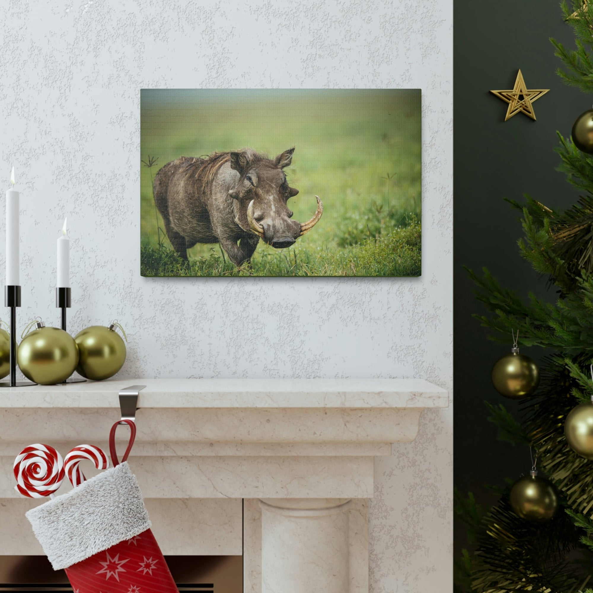 Scripture Walls Statuesque Common Warthog on a Grassland Print Animal Wall Art Wildlife Canvas Prints Wall Art Ready to Hang Unframed-Express Your Love Gifts