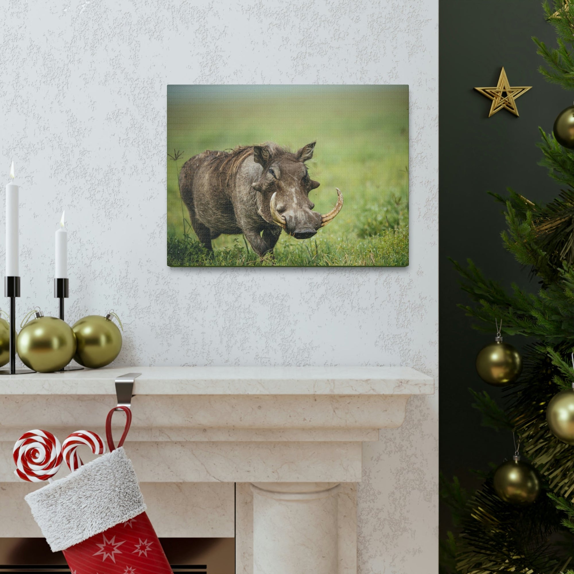 Scripture Walls Statuesque Common Warthog on a Grassland Print Animal Wall Art Wildlife Canvas Prints Wall Art Ready to Hang Unframed-Express Your Love Gifts