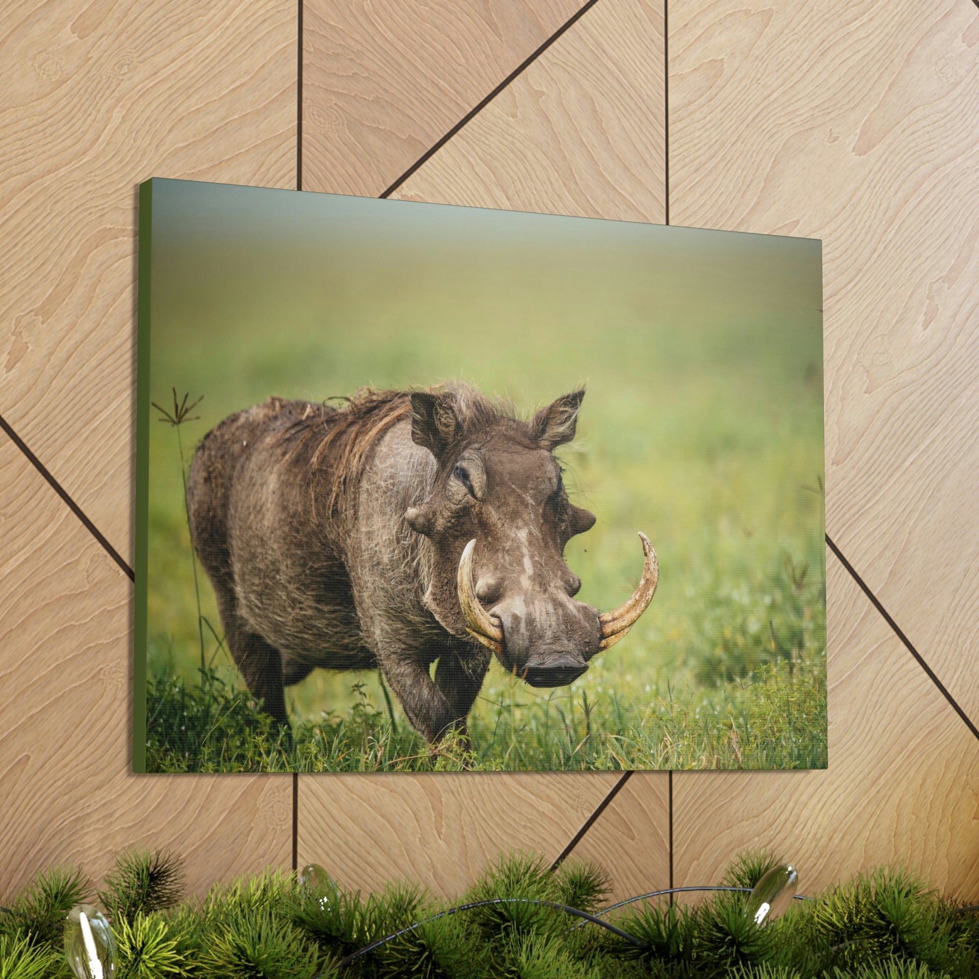 Scripture Walls Statuesque Common Warthog on a Grassland Print Animal Wall Art Wildlife Canvas Prints Wall Art Ready to Hang Unframed-Express Your Love Gifts