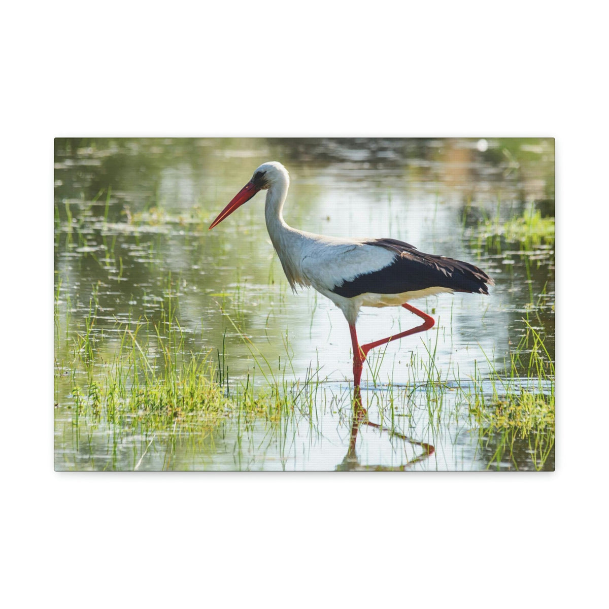 Scripture Walls Stork Hunting Stork on Hunt Print Animal Wall Art Wildlife Canvas Prints Wall Art Ready to Hang Unframed-Express Your Love Gifts