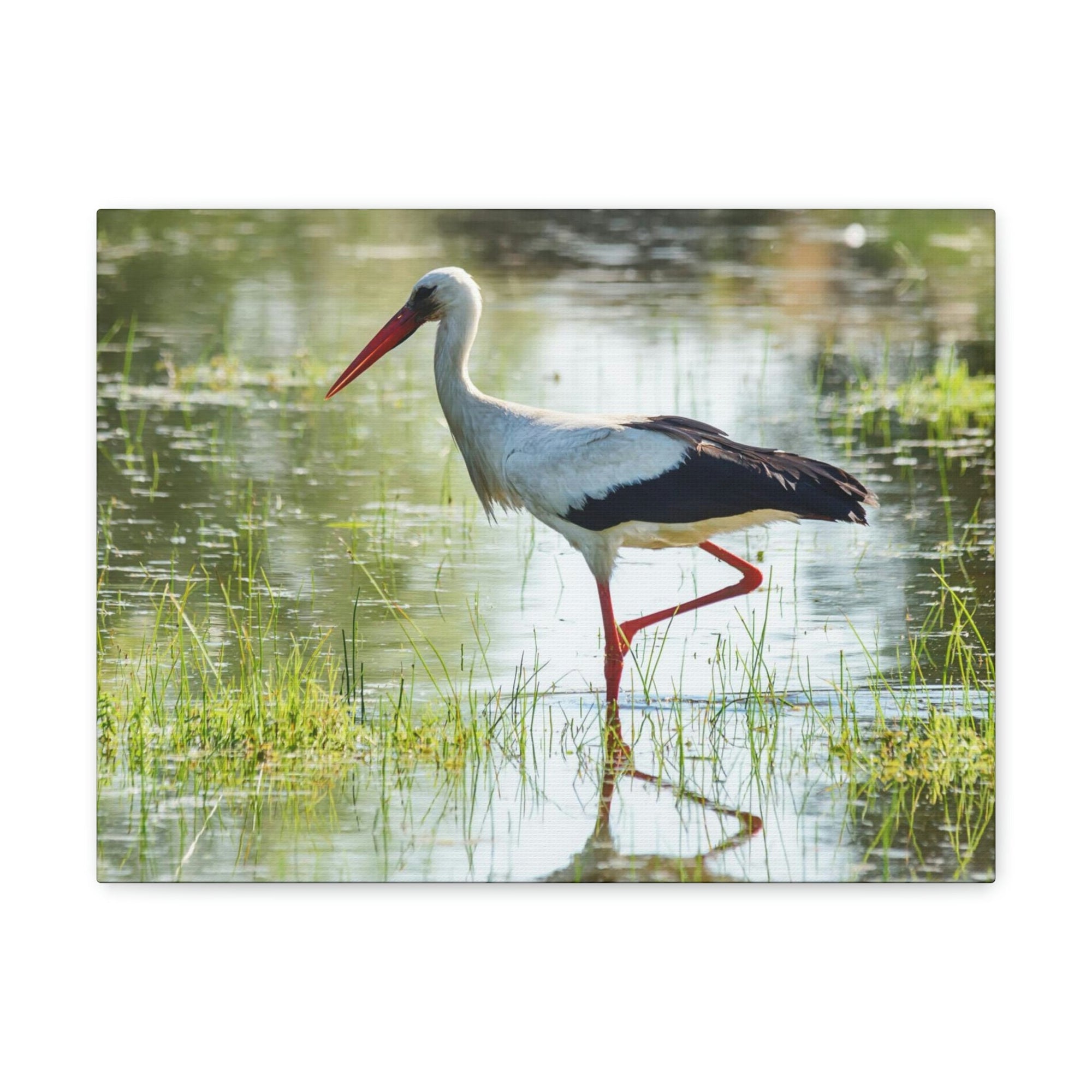 Scripture Walls Stork Hunting Stork on Hunt Print Animal Wall Art Wildlife Canvas Prints Wall Art Ready to Hang Unframed-Express Your Love Gifts