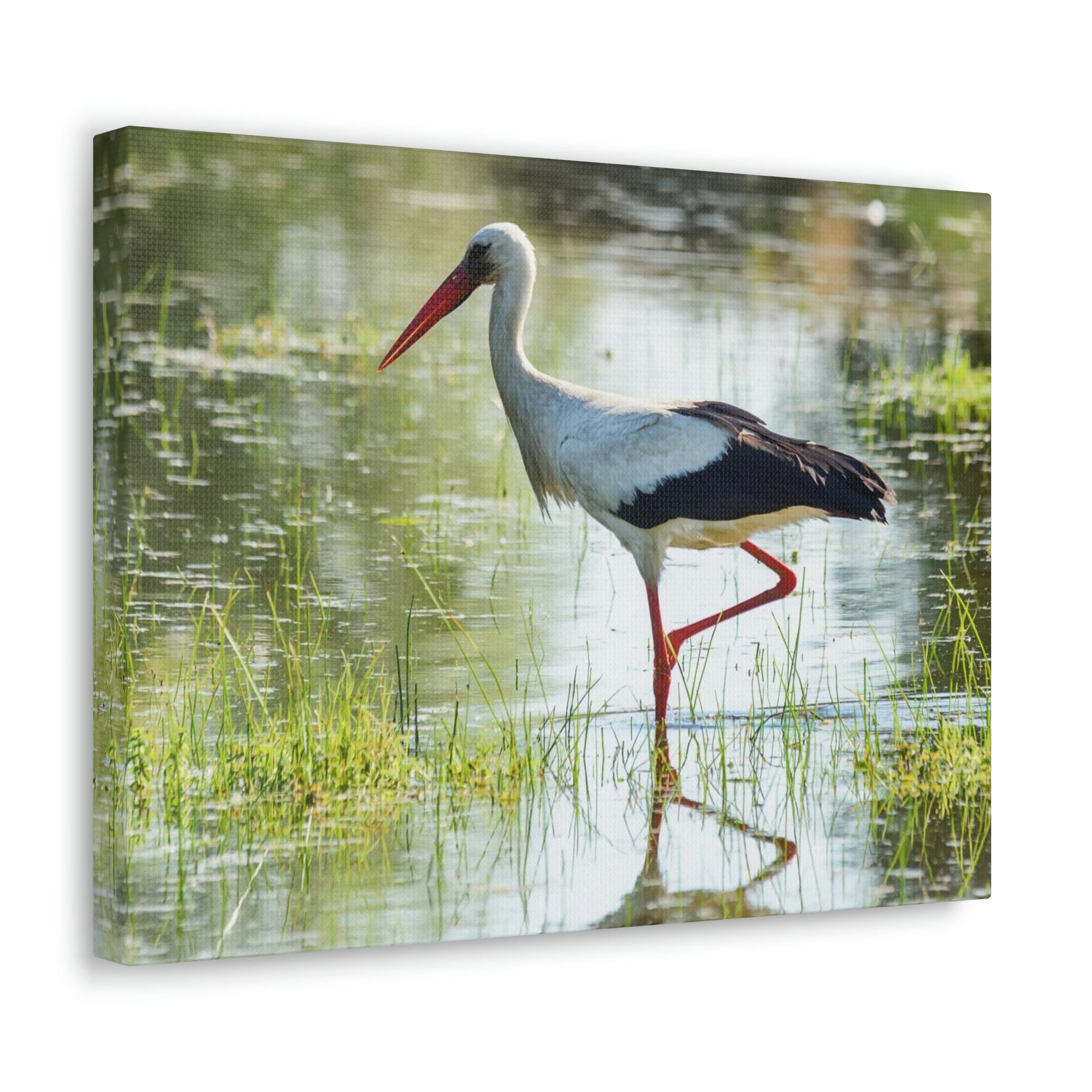 Scripture Walls Stork Hunting Stork on Hunt Print Animal Wall Art Wildlife Canvas Prints Wall Art Ready to Hang Unframed-Express Your Love Gifts