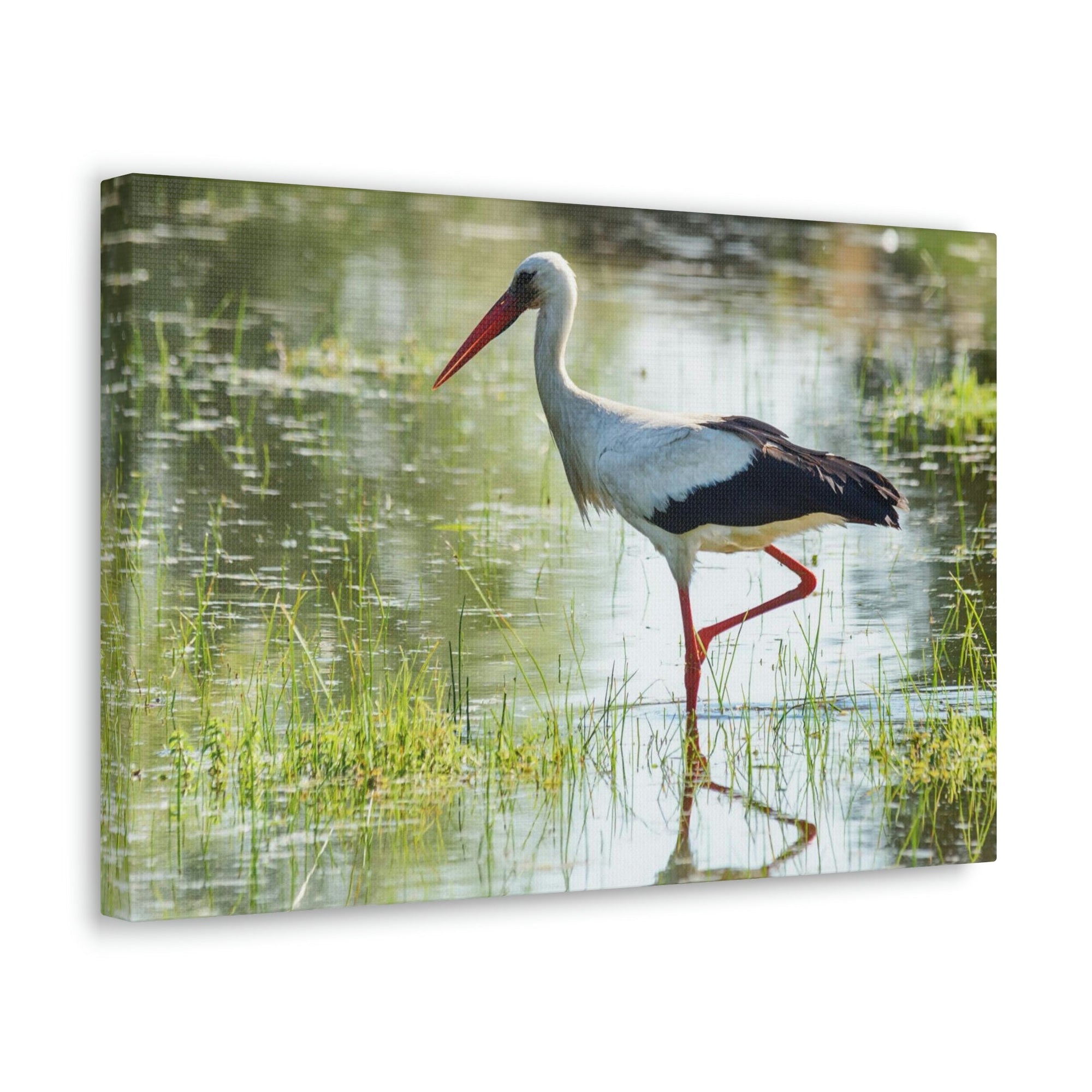 Scripture Walls Stork Hunting Stork on Hunt Print Animal Wall Art Wildlife Canvas Prints Wall Art Ready to Hang Unframed-Express Your Love Gifts