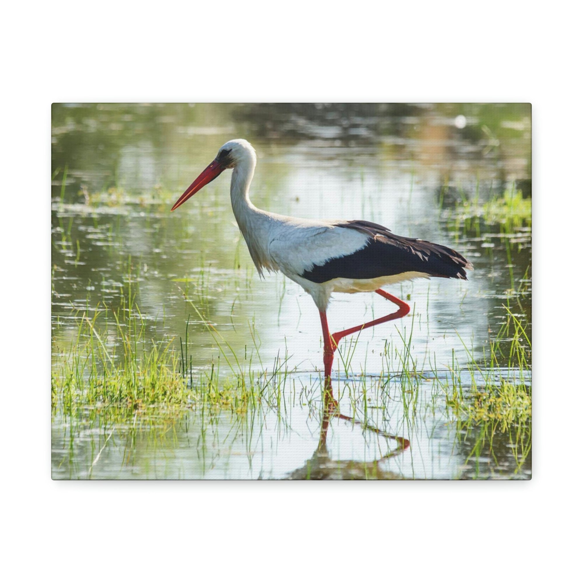 Scripture Walls Stork Hunting Stork on Hunt Print Animal Wall Art Wildlife Canvas Prints Wall Art Ready to Hang Unframed-Express Your Love Gifts