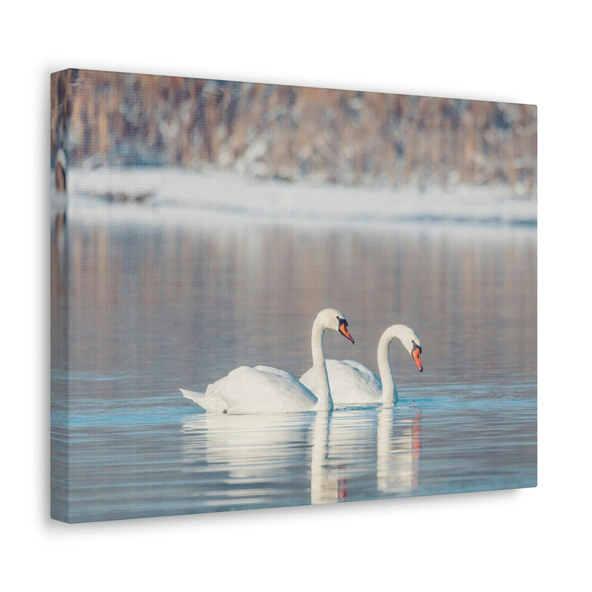 Scripture Walls Swan Couple Swan Couple Print Animal Wall Art Wildlife Canvas Prints Wall Art Ready to Hang Unframed-Express Your Love Gifts