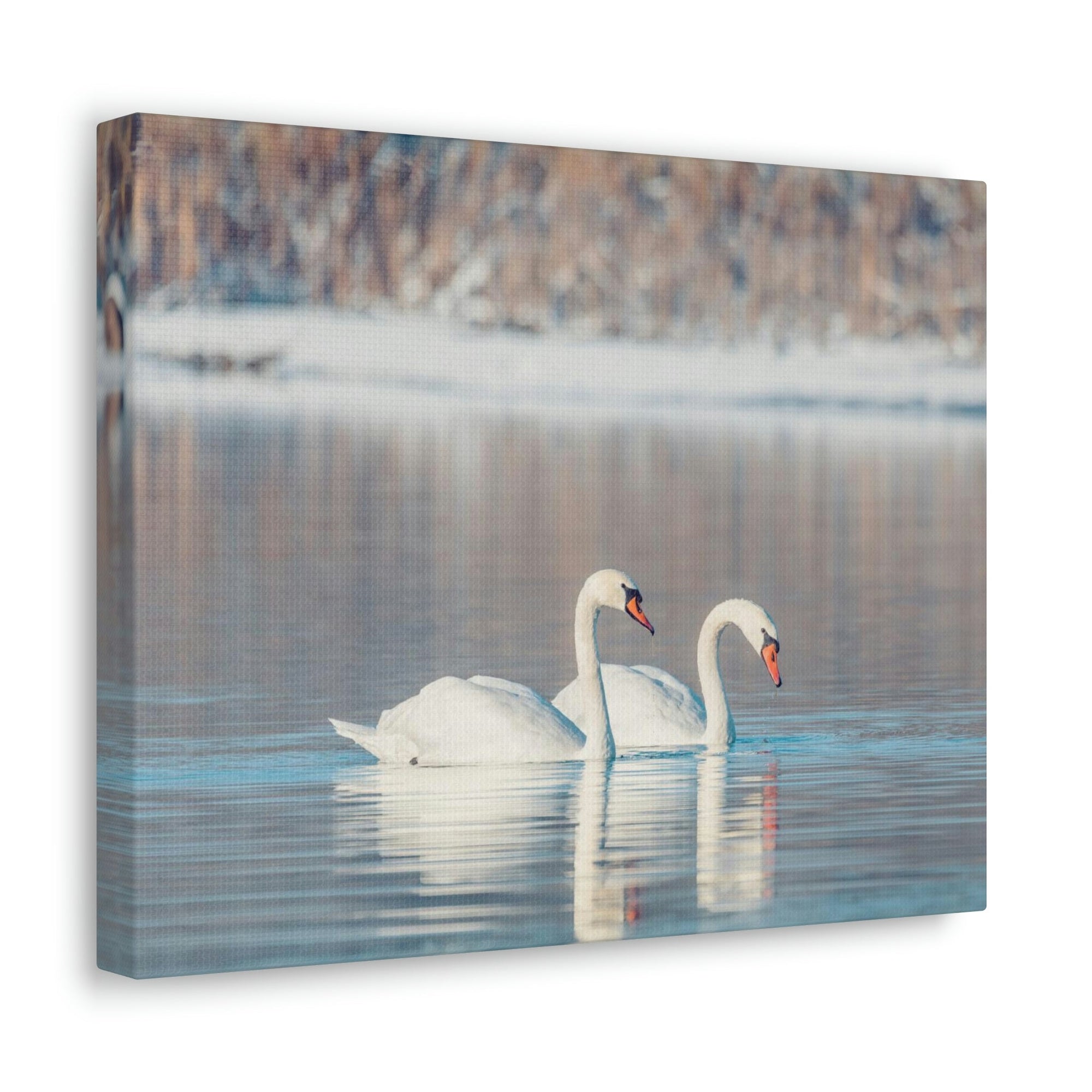 Scripture Walls Swan Couple Swan Couple Print Animal Wall Art Wildlife Canvas Prints Wall Art Ready to Hang Unframed-Express Your Love Gifts