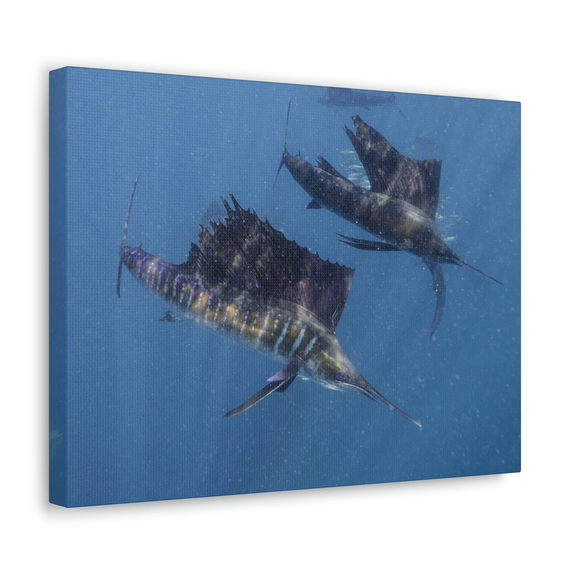 Scripture Walls Sword Fish Group Sword Fish Troop Print Animal Wall Art Wildlife Canvas Prints Wall Art Ready to Hang Unframed-Express Your Love Gifts