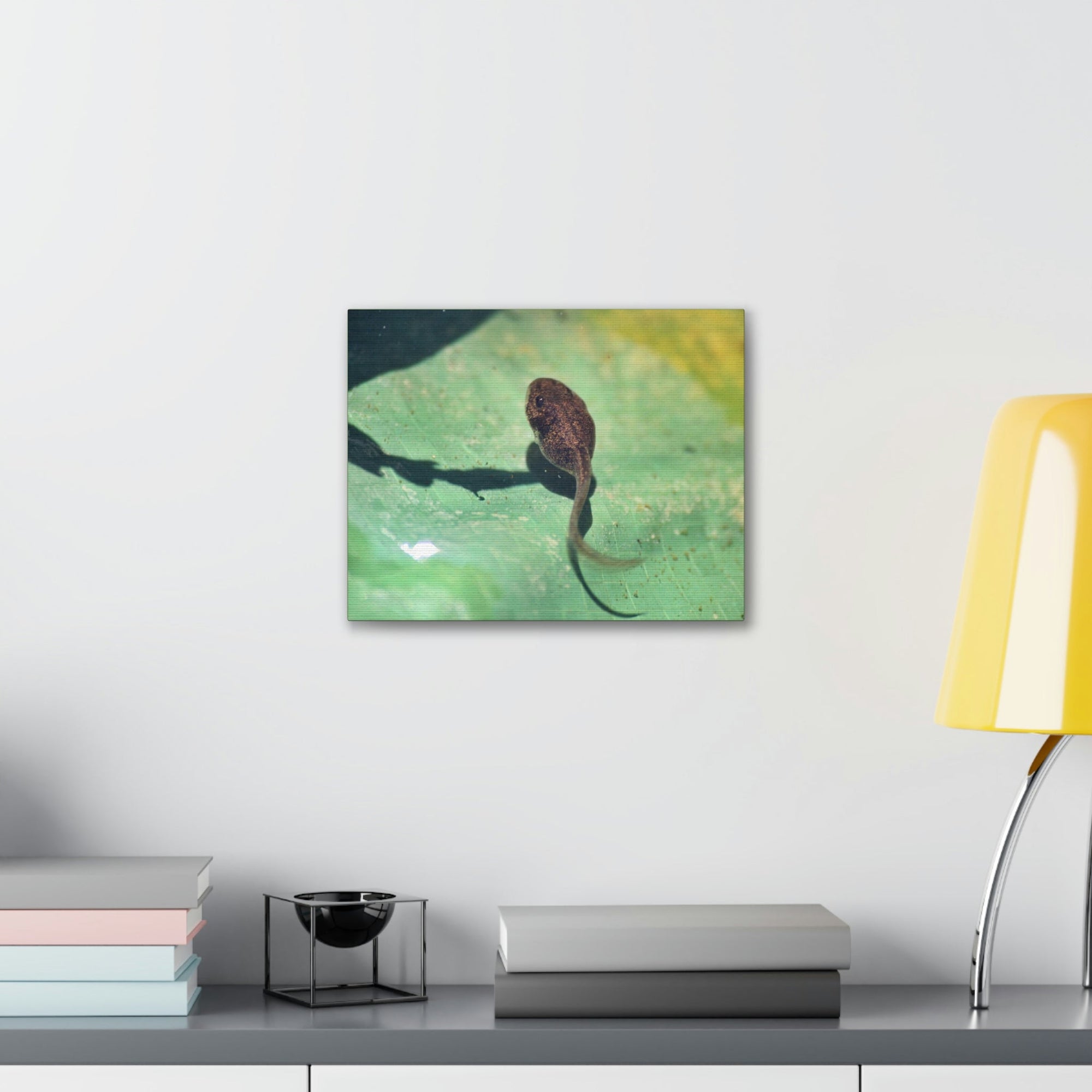 Scripture Walls Tadpole Hunting Tadpole on Hunt Print Animal Wall Art Wildlife Canvas Prints Wall Art Ready to Hang Unframed-Express Your Love Gifts