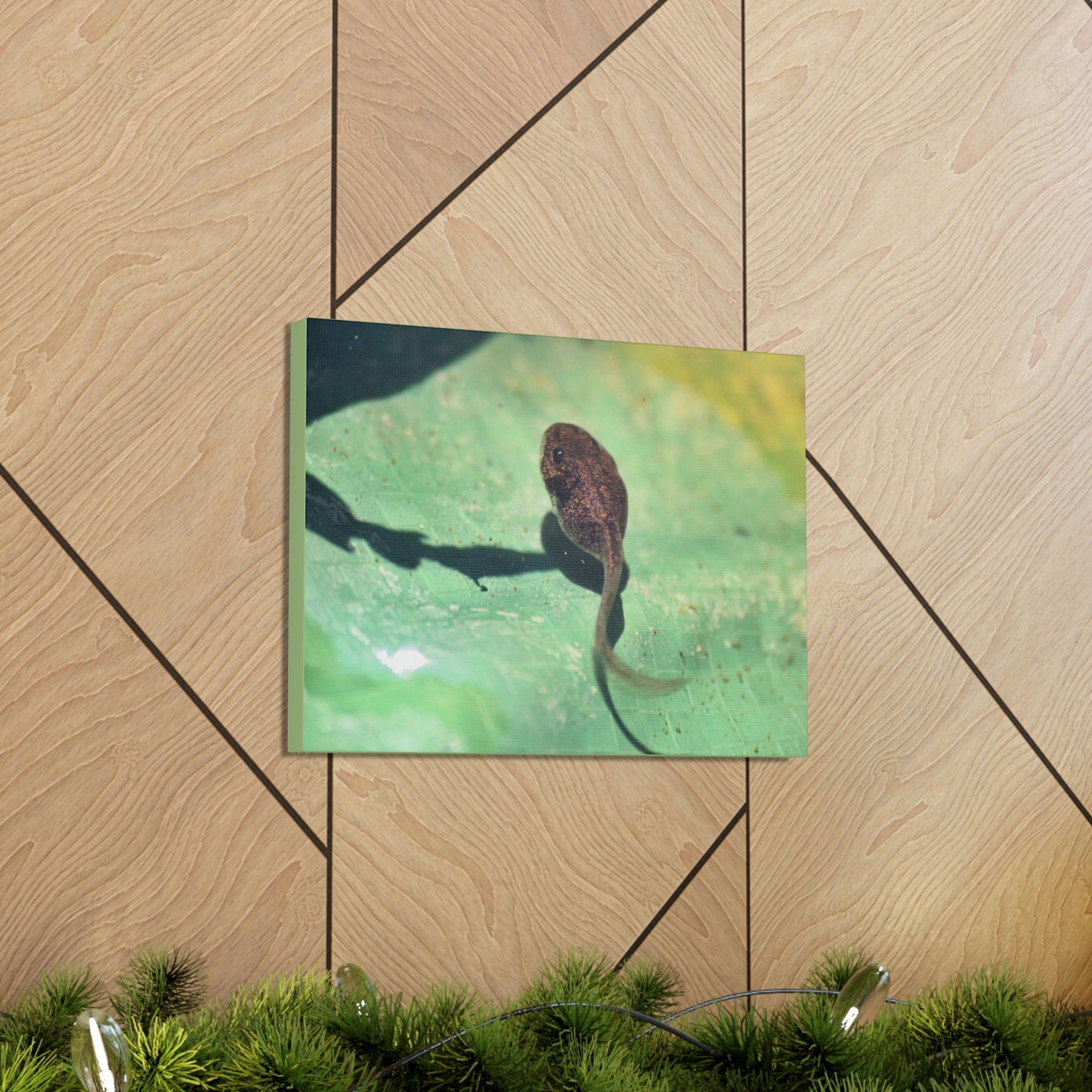 Scripture Walls Tadpole Hunting Tadpole on Hunt Print Animal Wall Art Wildlife Canvas Prints Wall Art Ready to Hang Unframed-Express Your Love Gifts