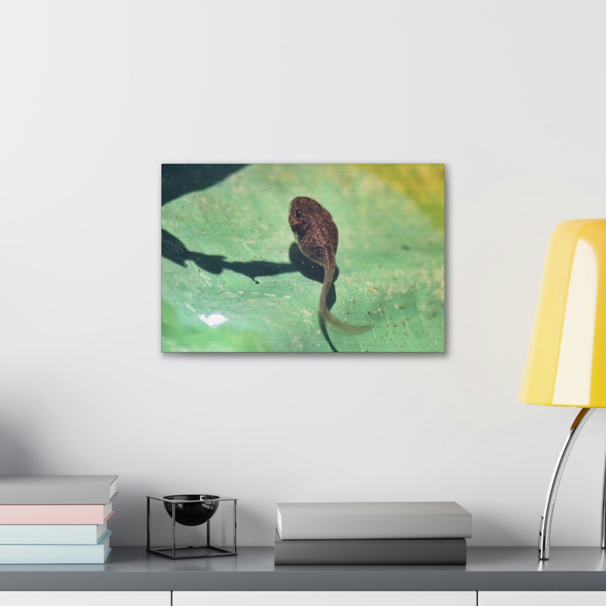 Scripture Walls Tadpole Hunting Tadpole on Hunt Print Animal Wall Art Wildlife Canvas Prints Wall Art Ready to Hang Unframed-Express Your Love Gifts