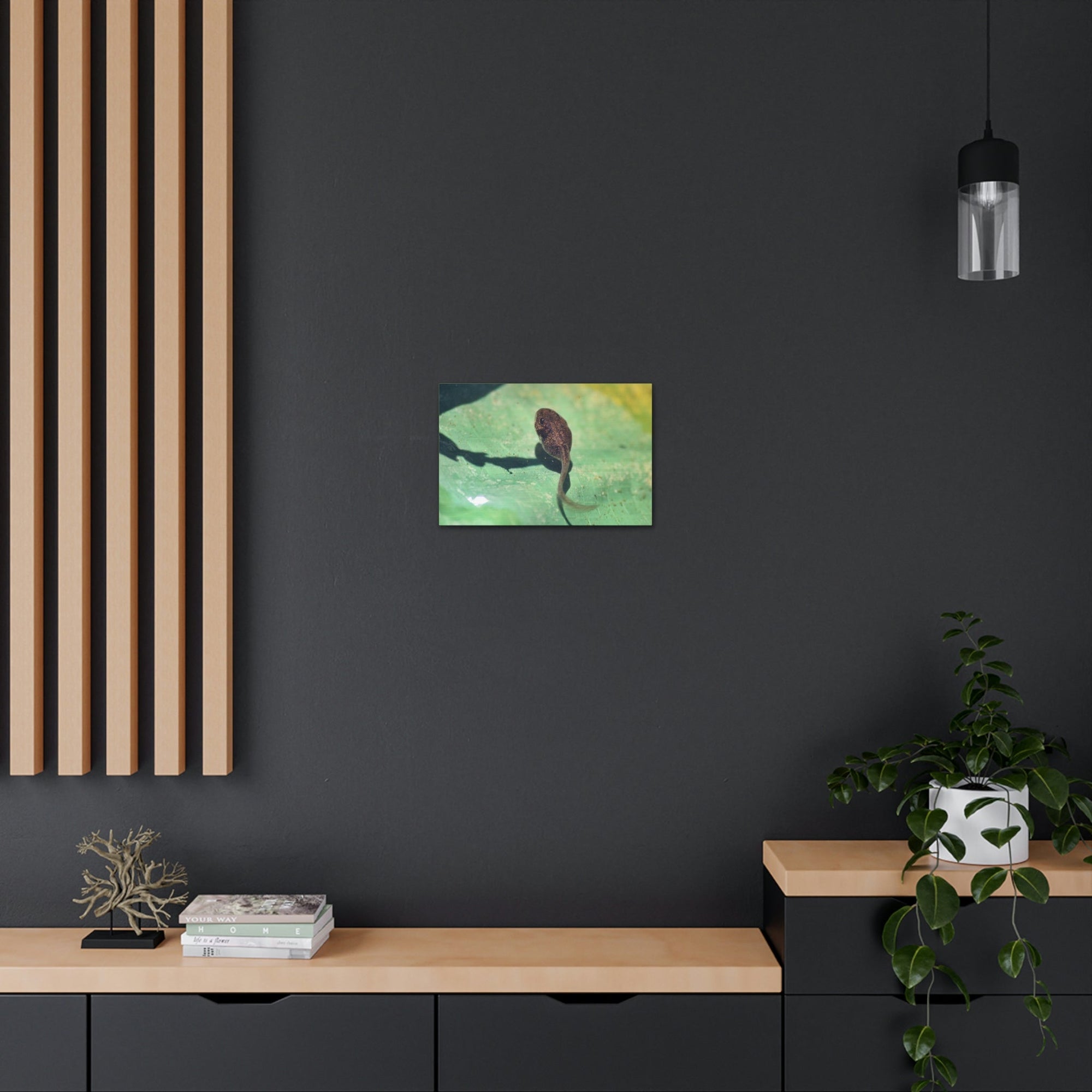 Scripture Walls Tadpole Hunting Tadpole on Hunt Print Animal Wall Art Wildlife Canvas Prints Wall Art Ready to Hang Unframed-Express Your Love Gifts