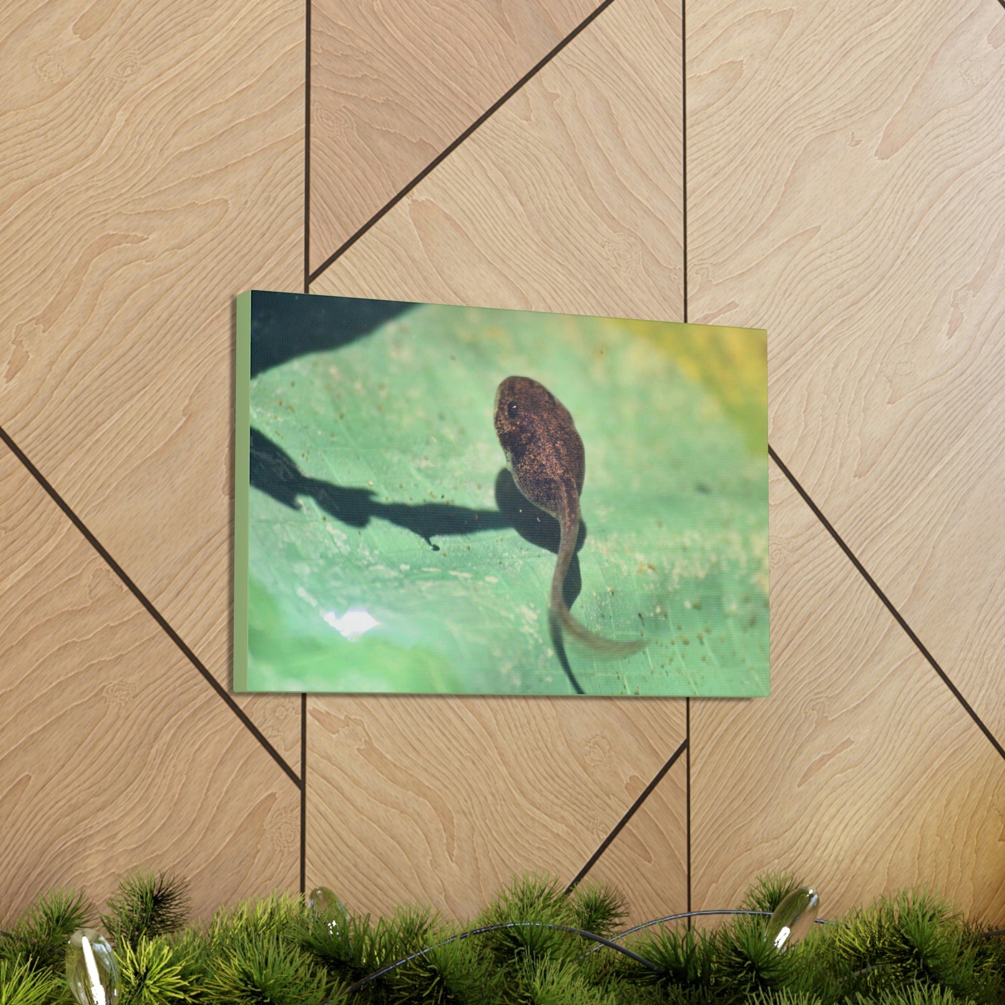 Scripture Walls Tadpole Hunting Tadpole on Hunt Print Animal Wall Art Wildlife Canvas Prints Wall Art Ready to Hang Unframed-Express Your Love Gifts