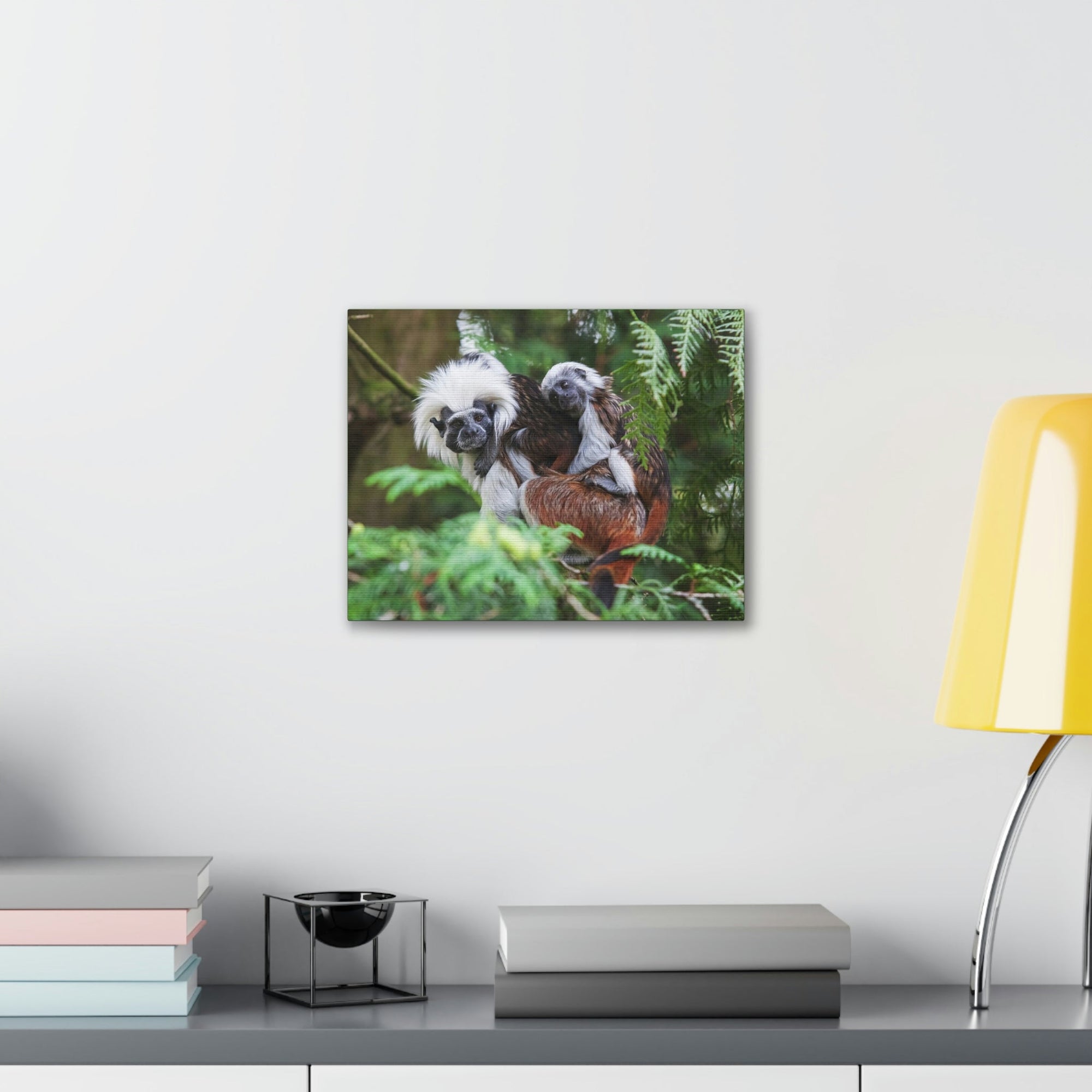 Scripture Walls Tamarin Group Tamarin Troop Print Animal Wall Art Wildlife Canvas Prints Wall Art Ready to Hang Unframed-Express Your Love Gifts