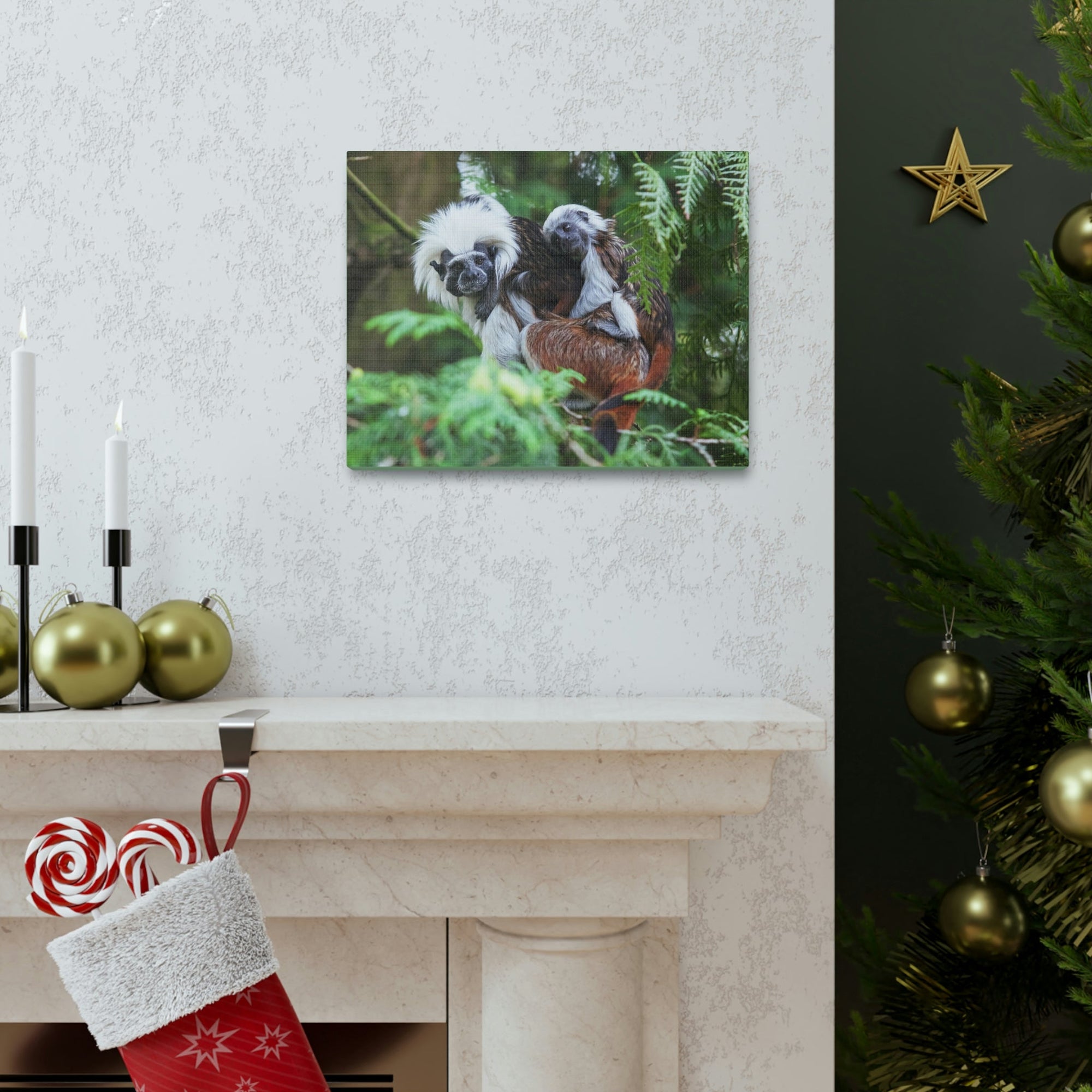 Scripture Walls Tamarin Group Tamarin Troop Print Animal Wall Art Wildlife Canvas Prints Wall Art Ready to Hang Unframed-Express Your Love Gifts