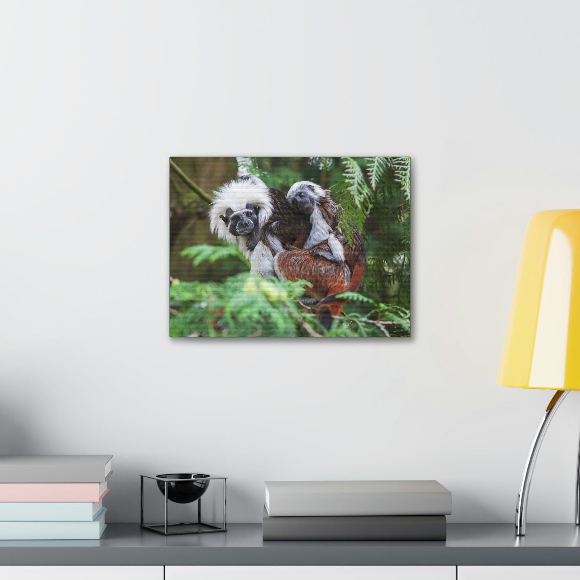 Scripture Walls Tamarin Group Tamarin Troop Print Animal Wall Art Wildlife Canvas Prints Wall Art Ready to Hang Unframed-Express Your Love Gifts