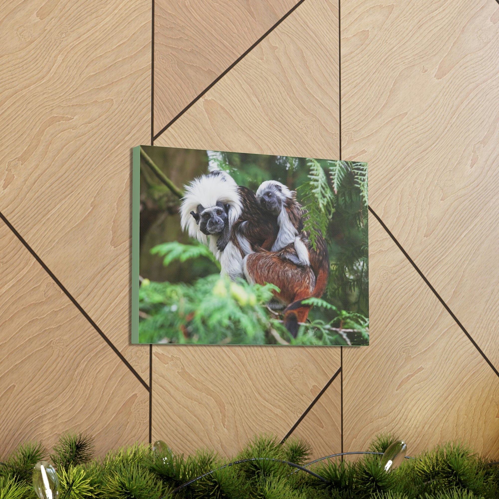 Scripture Walls Tamarin Group Tamarin Troop Print Animal Wall Art Wildlife Canvas Prints Wall Art Ready to Hang Unframed-Express Your Love Gifts