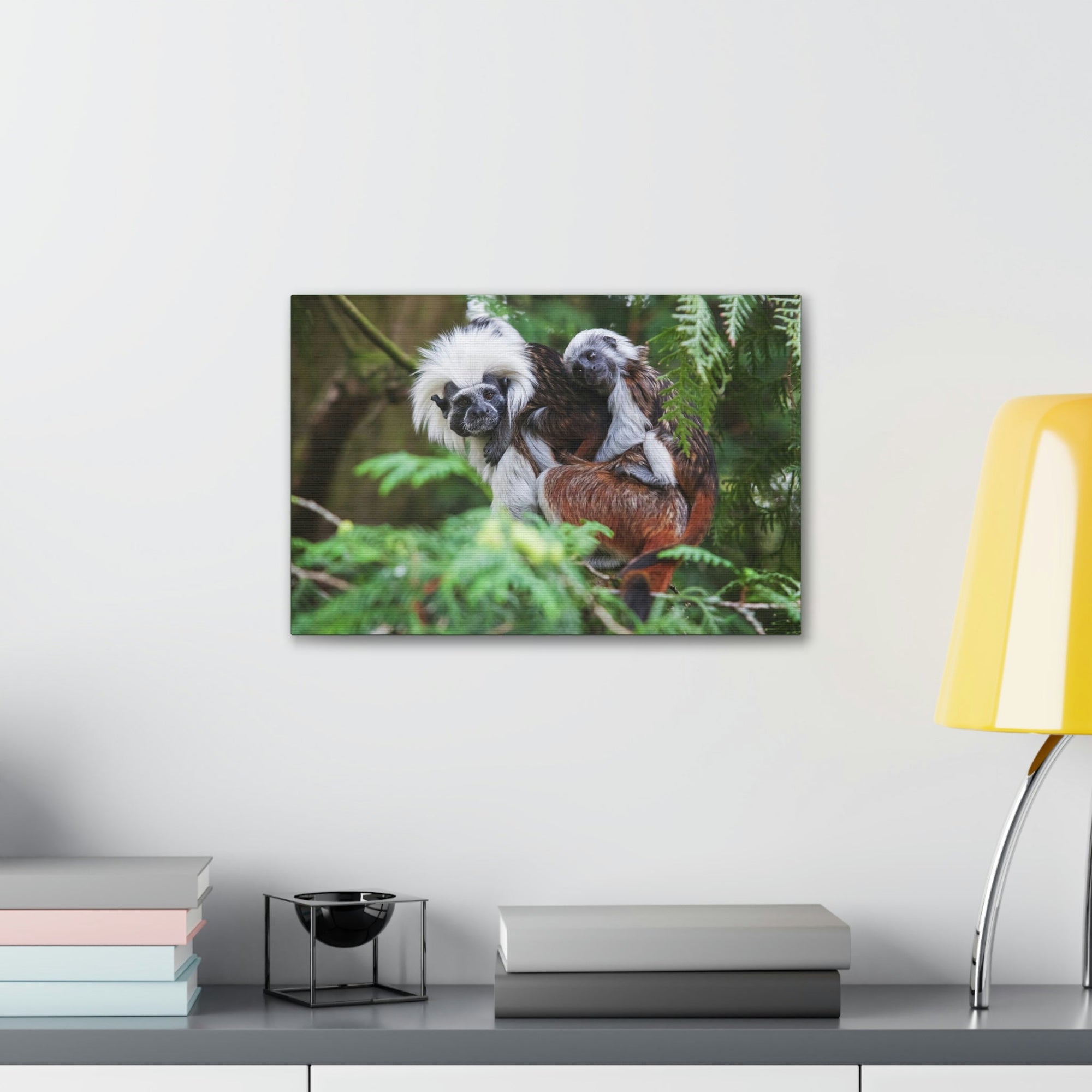 Scripture Walls Tamarin Group Tamarin Troop Print Animal Wall Art Wildlife Canvas Prints Wall Art Ready to Hang Unframed-Express Your Love Gifts