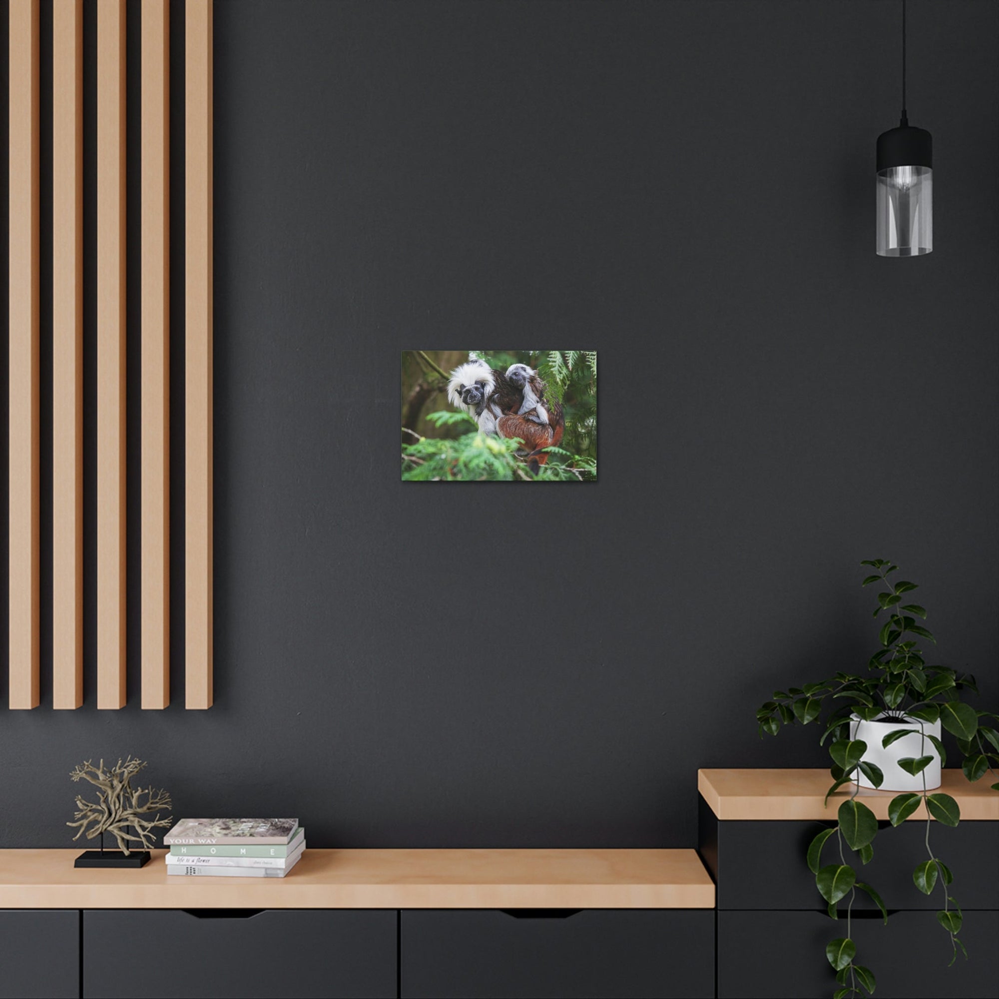 Scripture Walls Tamarin Group Tamarin Troop Print Animal Wall Art Wildlife Canvas Prints Wall Art Ready to Hang Unframed-Express Your Love Gifts