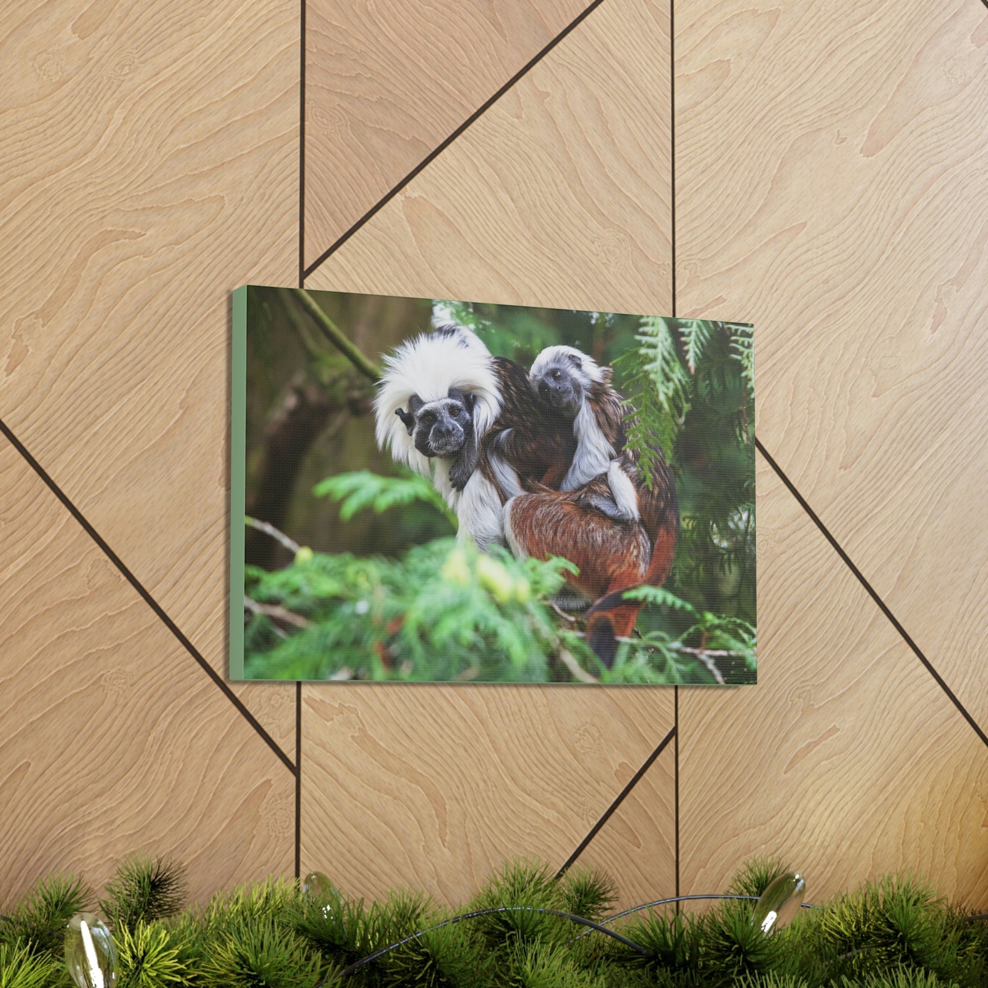 Scripture Walls Tamarin Group Tamarin Troop Print Animal Wall Art Wildlife Canvas Prints Wall Art Ready to Hang Unframed-Express Your Love Gifts