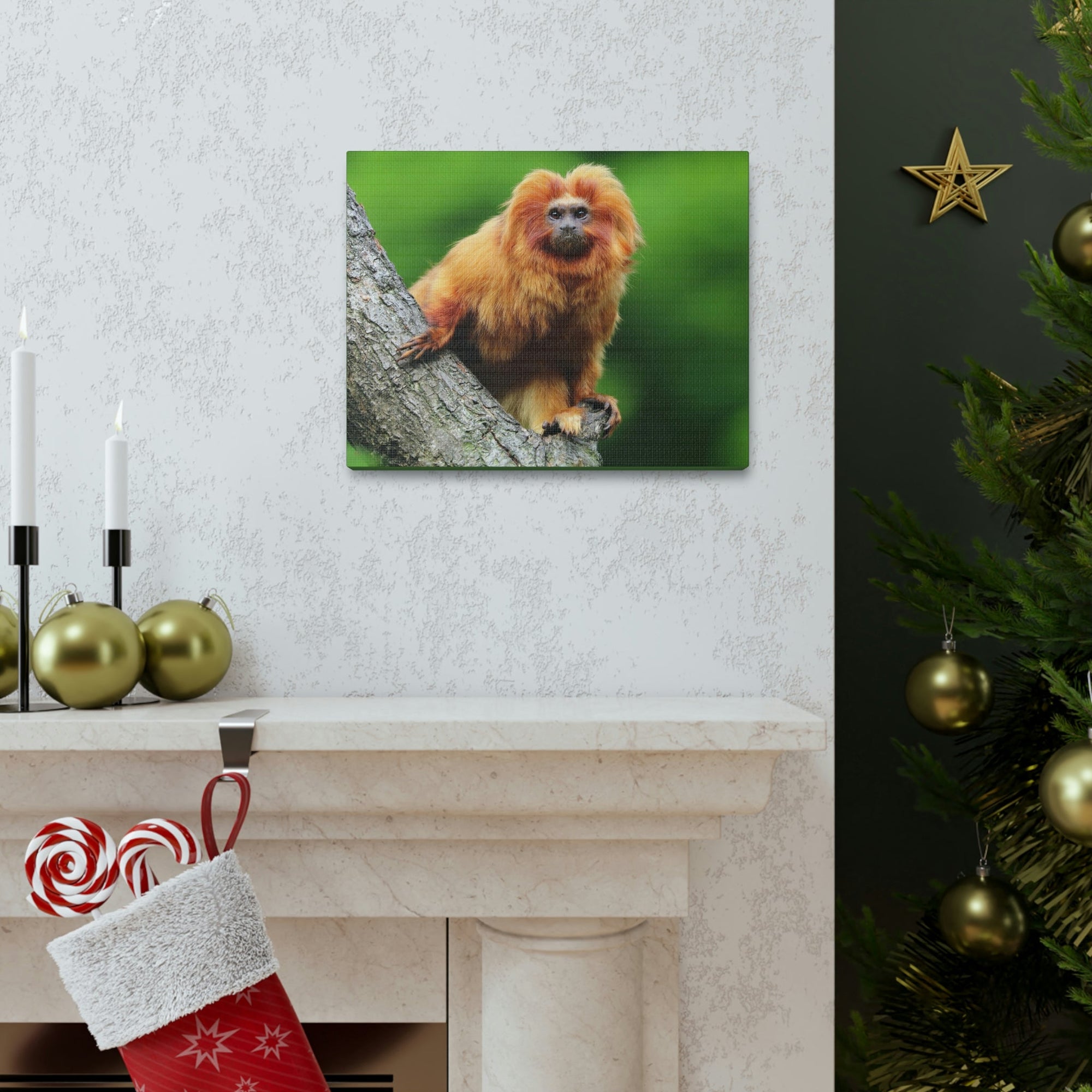 Scripture Walls Tamarin Hunting Tamarin on Hunt Print Animal Wall Art Wildlife Canvas Prints Wall Art Ready to Hang Unframed-Express Your Love Gifts