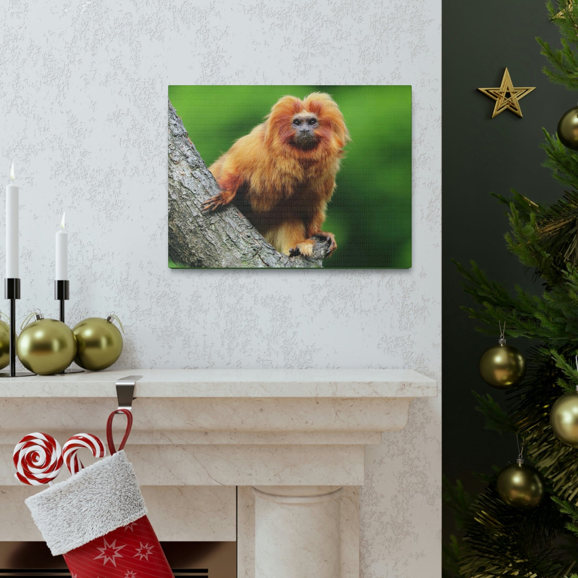 Scripture Walls Tamarin Hunting Tamarin on Hunt Print Animal Wall Art Wildlife Canvas Prints Wall Art Ready to Hang Unframed-Express Your Love Gifts