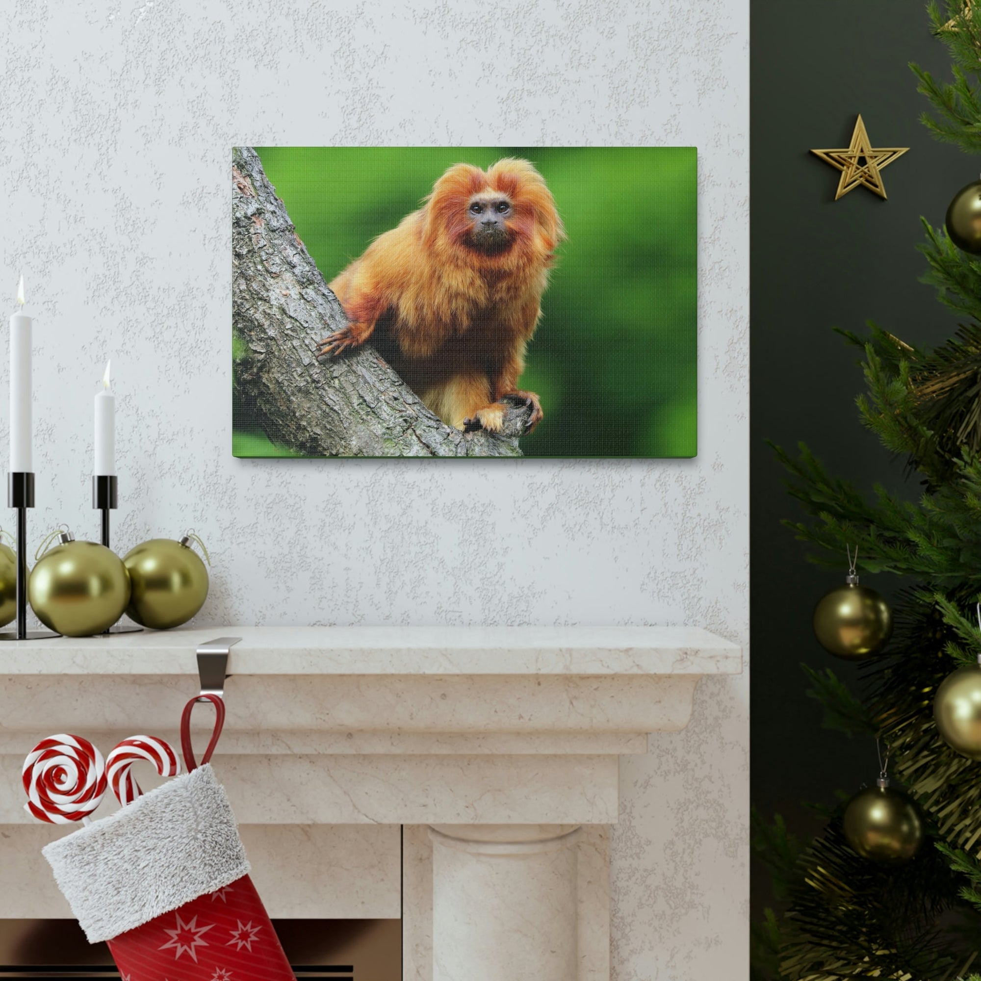 Scripture Walls Tamarin Hunting Tamarin on Hunt Print Animal Wall Art Wildlife Canvas Prints Wall Art Ready to Hang Unframed-Express Your Love Gifts