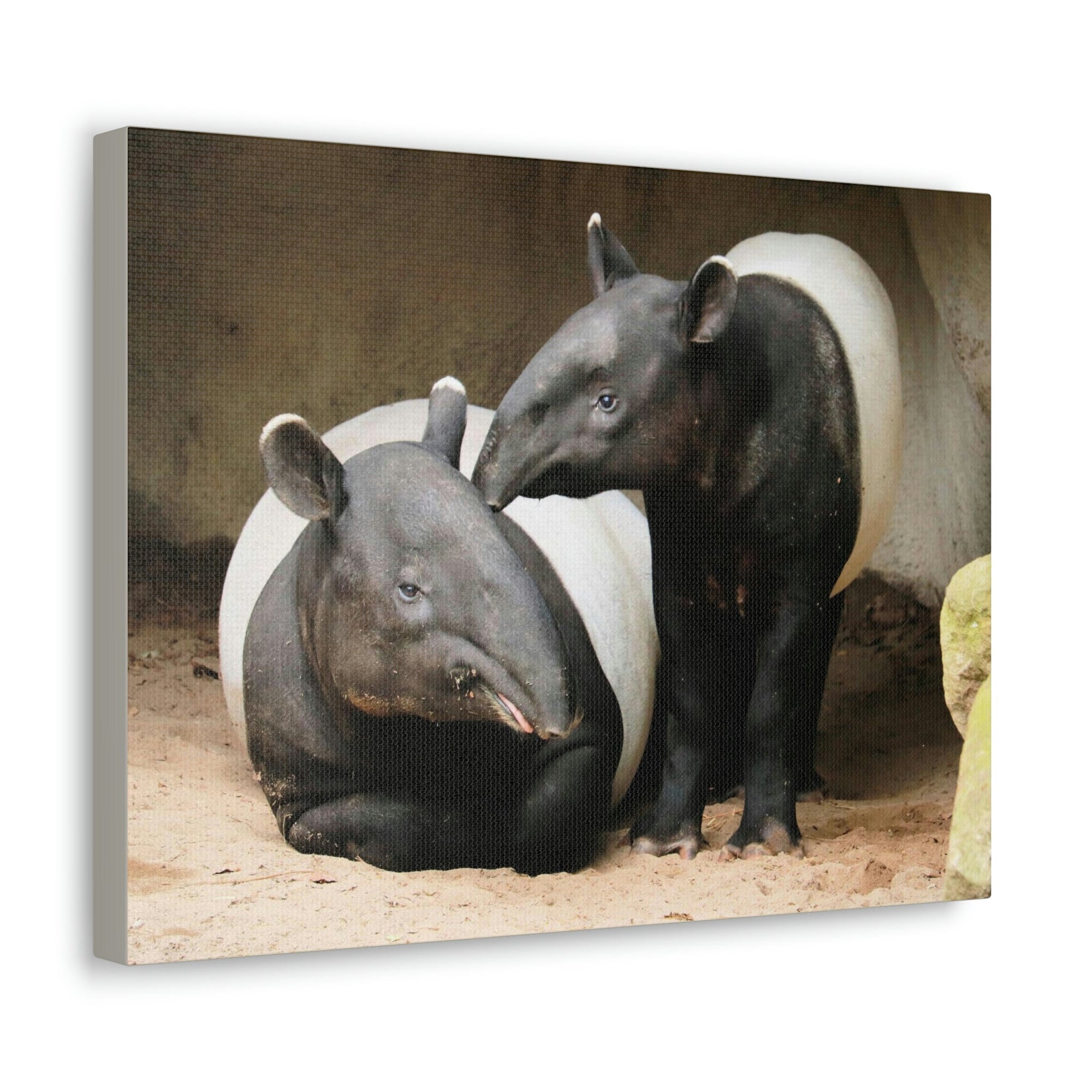 Scripture Walls Tapir Couple Tapir Couple Print Animal Wall Art Wildlife Canvas Prints Wall Art Ready to Hang Unframed-Express Your Love Gifts