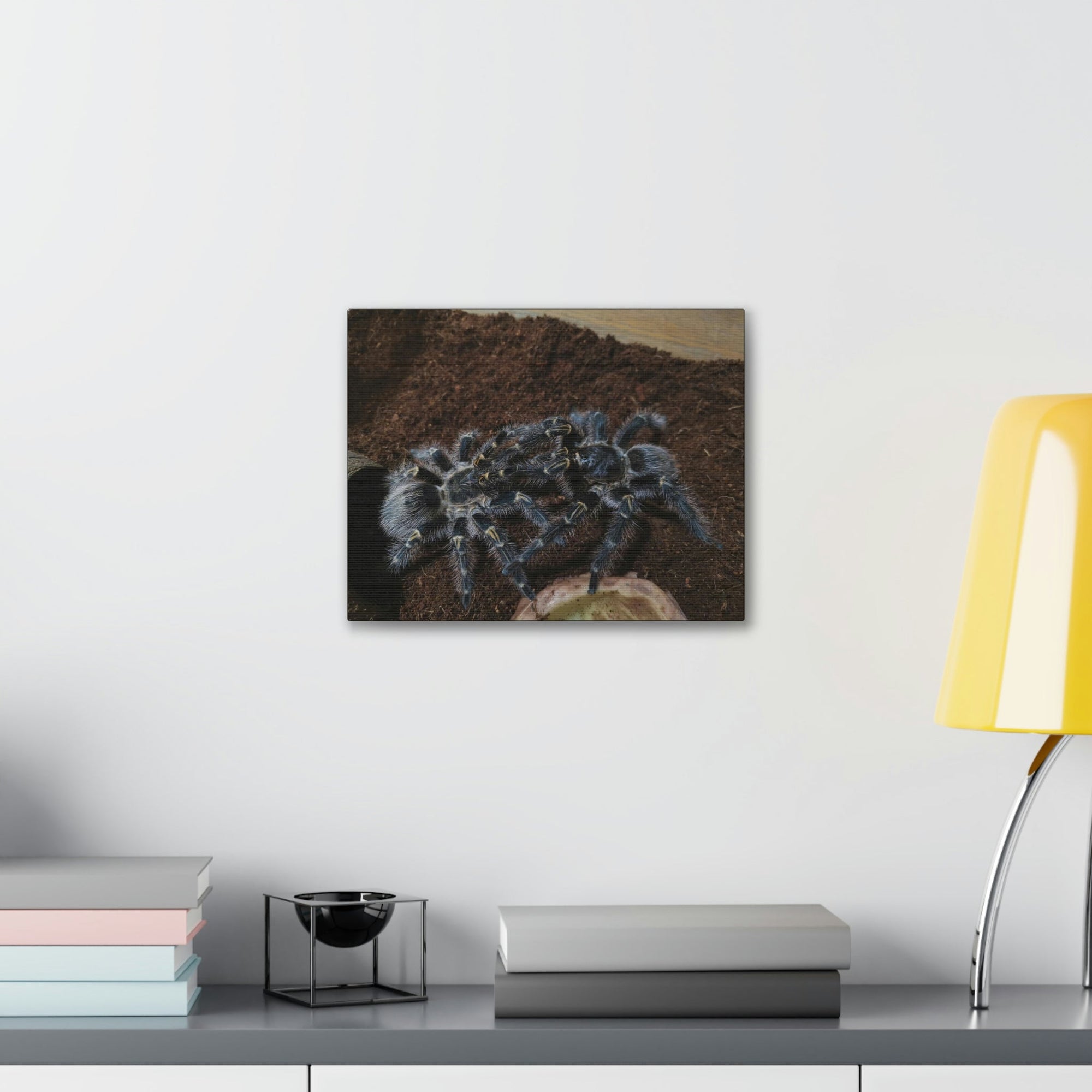 Scripture Walls Tarantula Group Tarantula Troop Print Animal Wall Art Wildlife Canvas Prints Wall Art Ready to Hang Unframed-Express Your Love Gifts