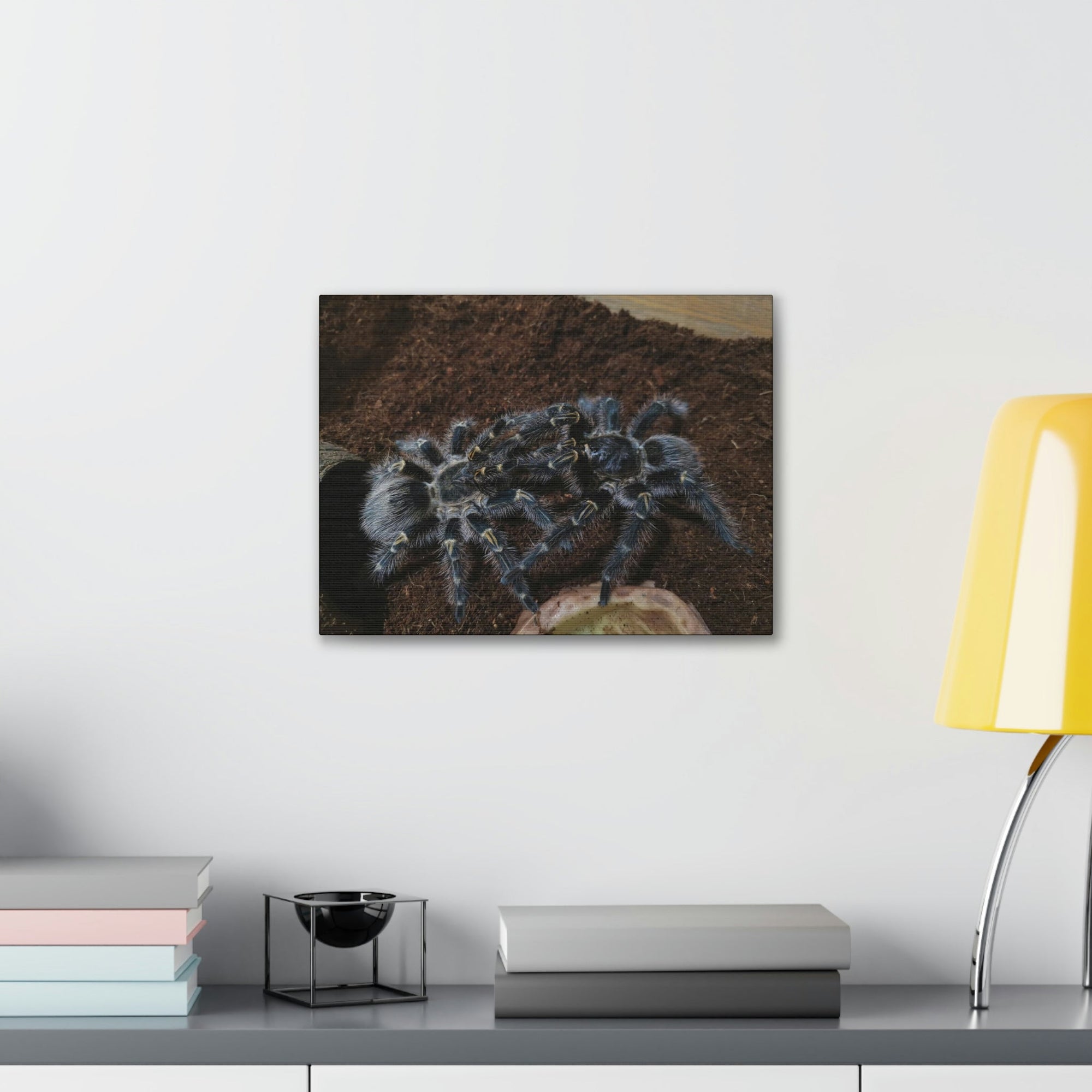 Scripture Walls Tarantula Group Tarantula Troop Print Animal Wall Art Wildlife Canvas Prints Wall Art Ready to Hang Unframed-Express Your Love Gifts