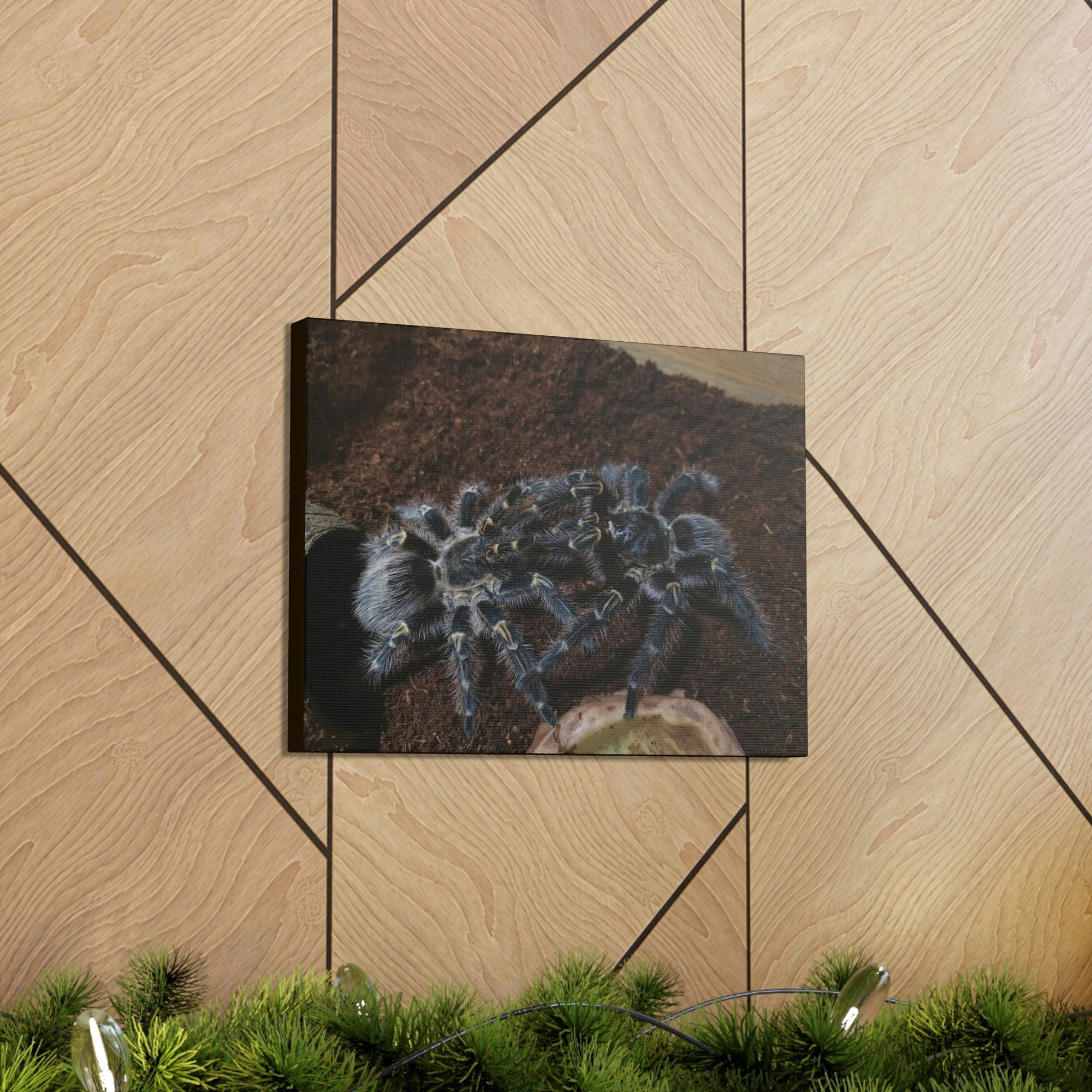 Scripture Walls Tarantula Group Tarantula Troop Print Animal Wall Art Wildlife Canvas Prints Wall Art Ready to Hang Unframed-Express Your Love Gifts