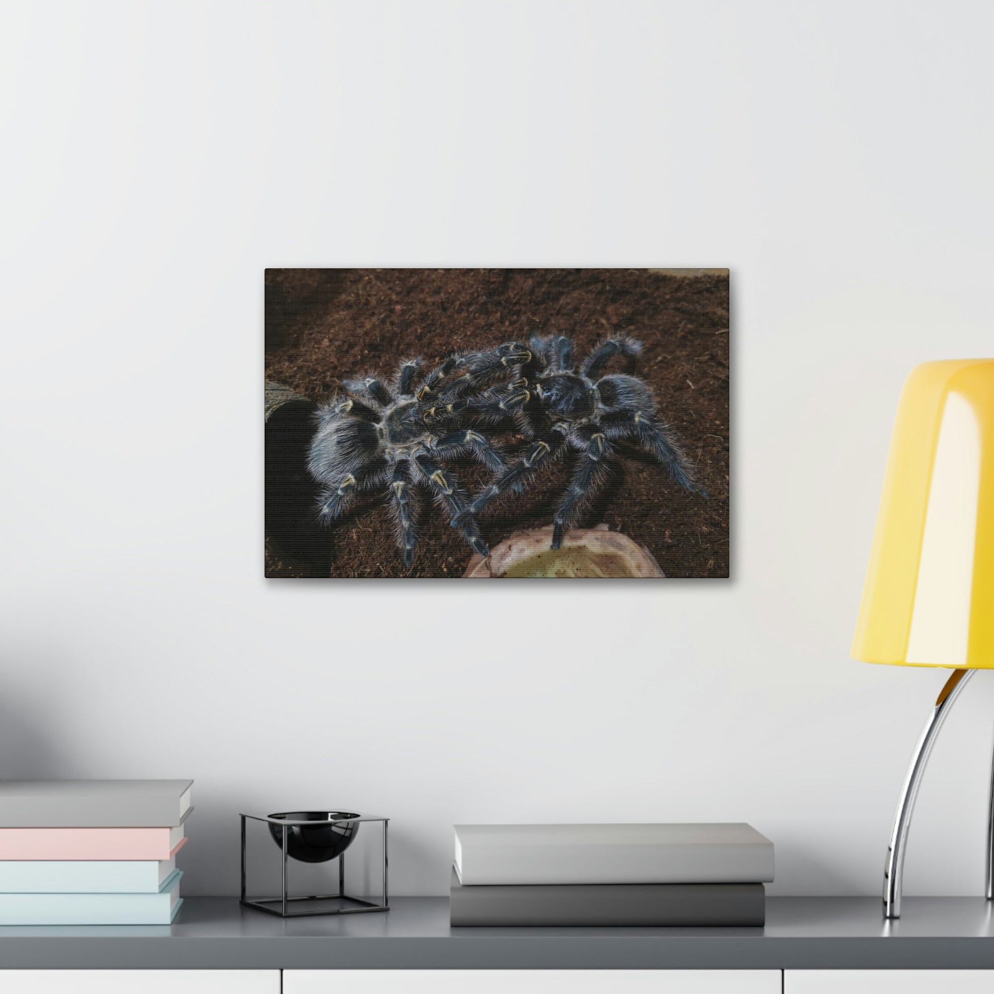 Scripture Walls Tarantula Group Tarantula Troop Print Animal Wall Art Wildlife Canvas Prints Wall Art Ready to Hang Unframed-Express Your Love Gifts