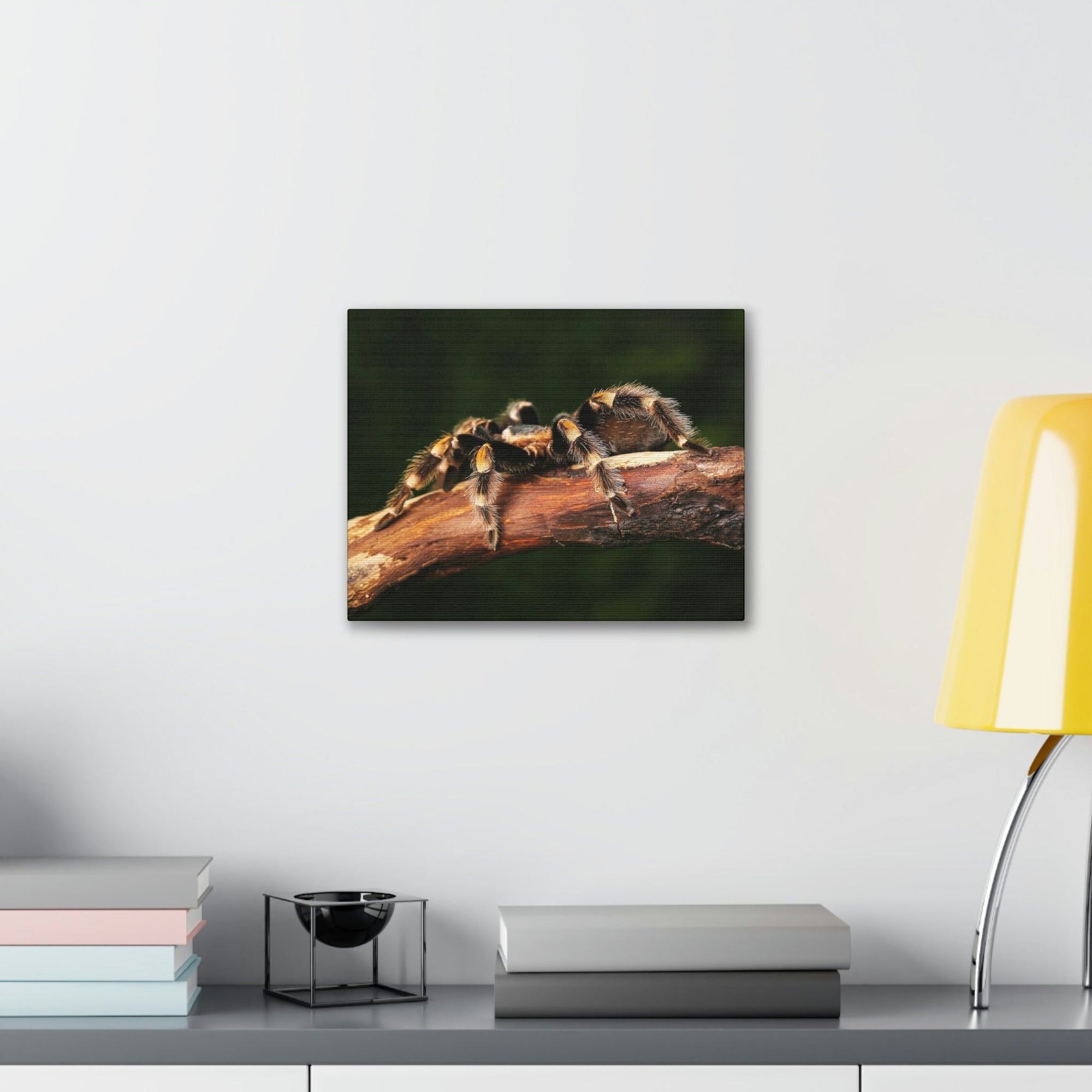 Scripture Walls Tarantula Hunting Tarantula on Hunt Print Animal Wall Art Wildlife Canvas Prints Wall Art Ready to Hang Unframed-Express Your Love Gifts