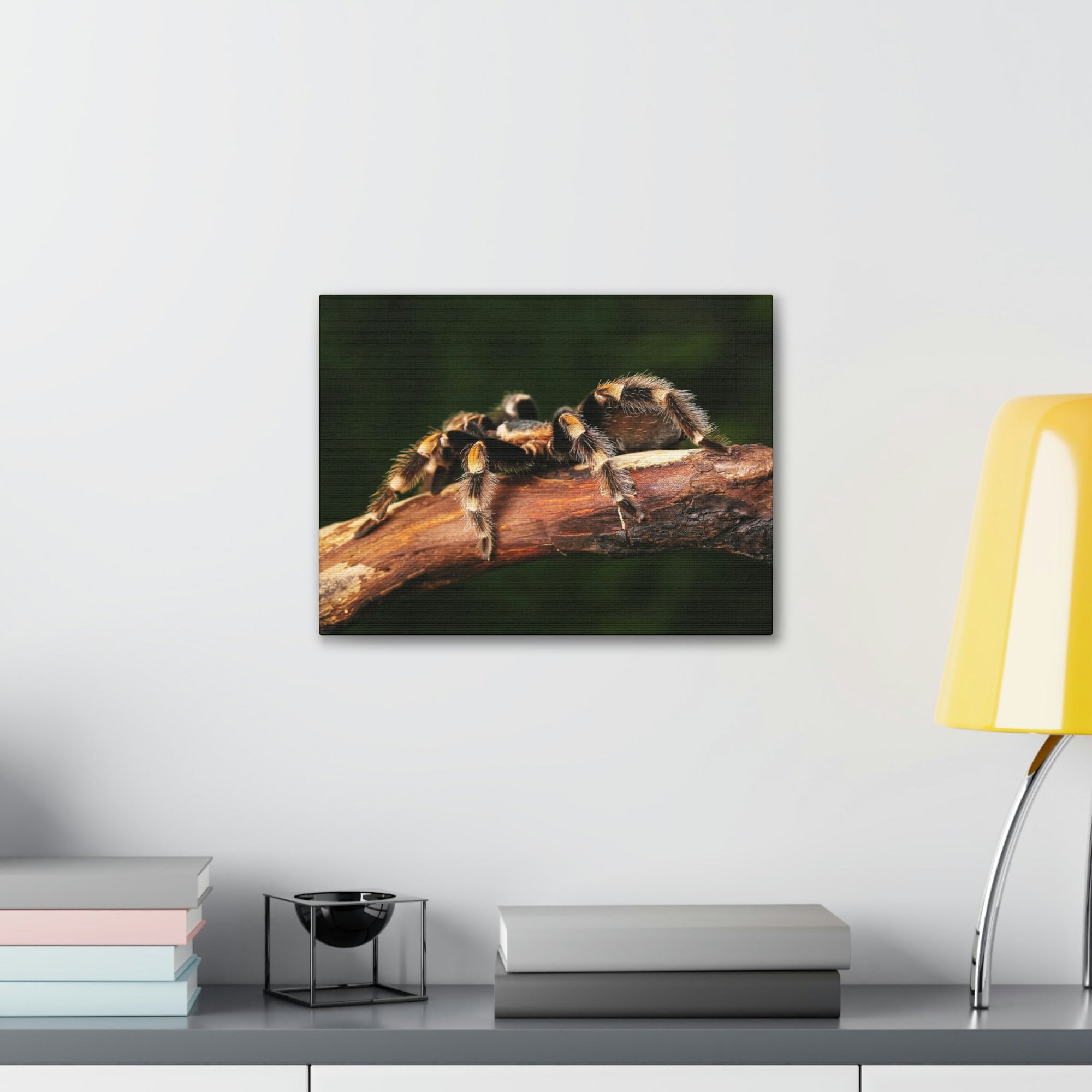 Scripture Walls Tarantula Hunting Tarantula on Hunt Print Animal Wall Art Wildlife Canvas Prints Wall Art Ready to Hang Unframed-Express Your Love Gifts