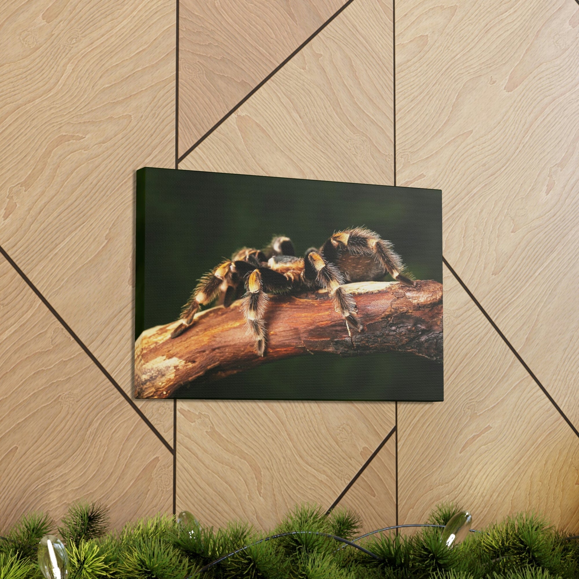 Scripture Walls Tarantula Hunting Tarantula on Hunt Print Animal Wall Art Wildlife Canvas Prints Wall Art Ready to Hang Unframed-Express Your Love Gifts