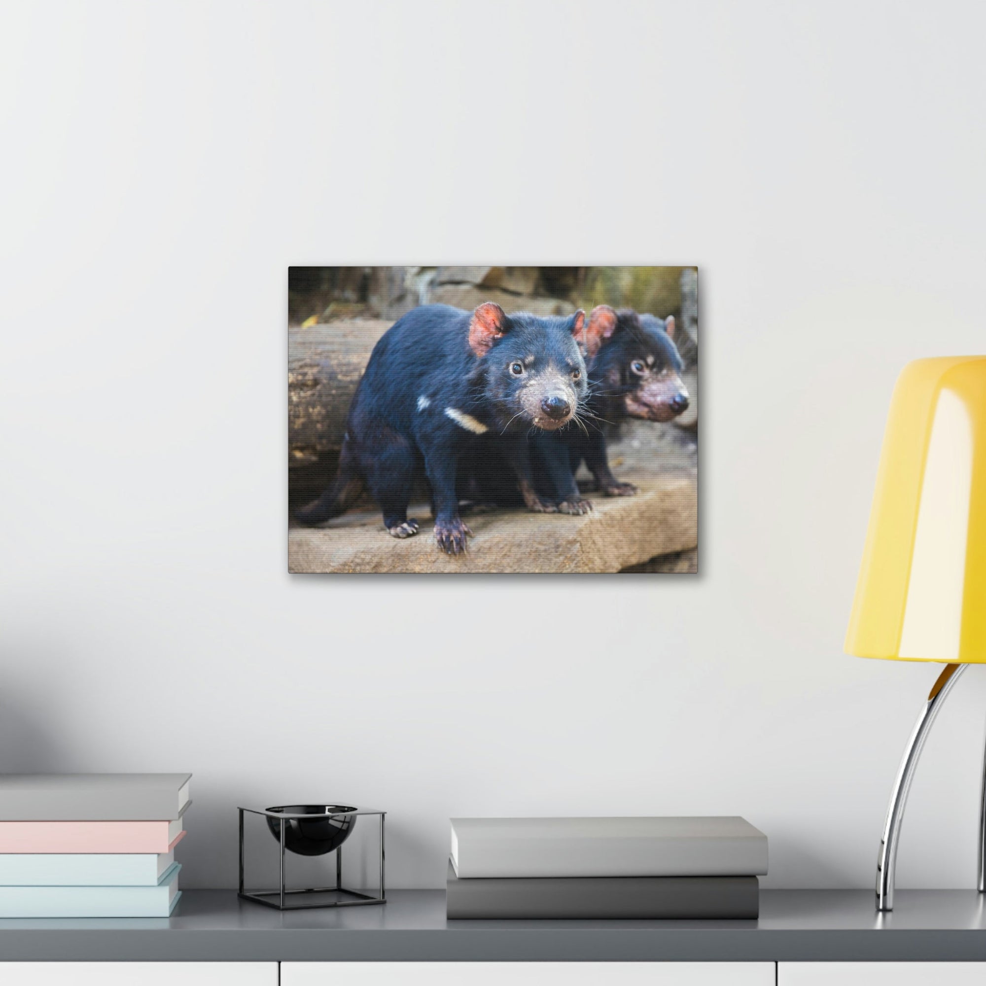 Scripture Walls Tasmanian Devil Couple Tasmanian Devil Couple Print Animal Wall Art Wildlife Canvas Prints Wall Art Ready to Hang Unframed-Express Your Love Gifts