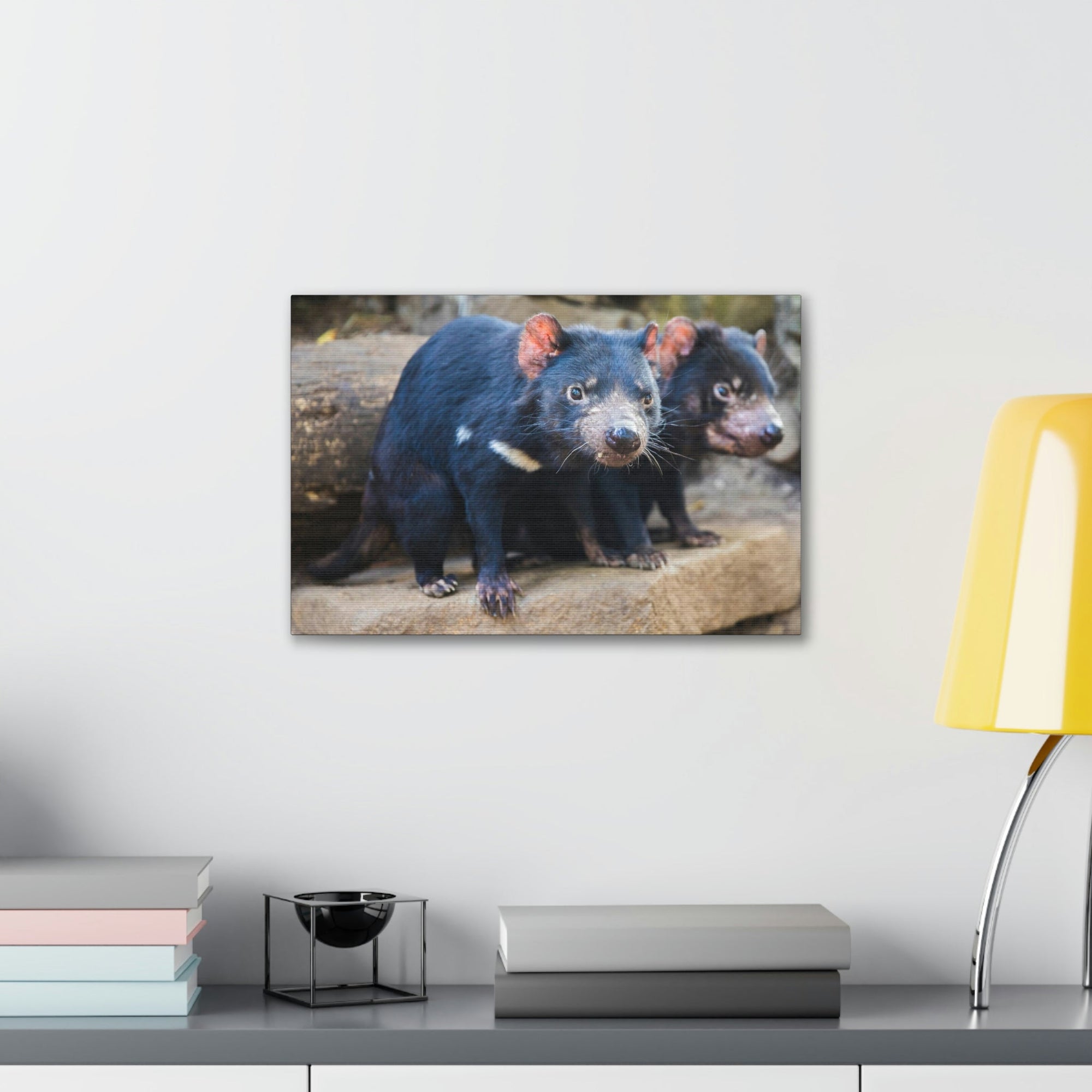 Scripture Walls Tasmanian Devil Couple Tasmanian Devil Couple Print Animal Wall Art Wildlife Canvas Prints Wall Art Ready to Hang Unframed-Express Your Love Gifts