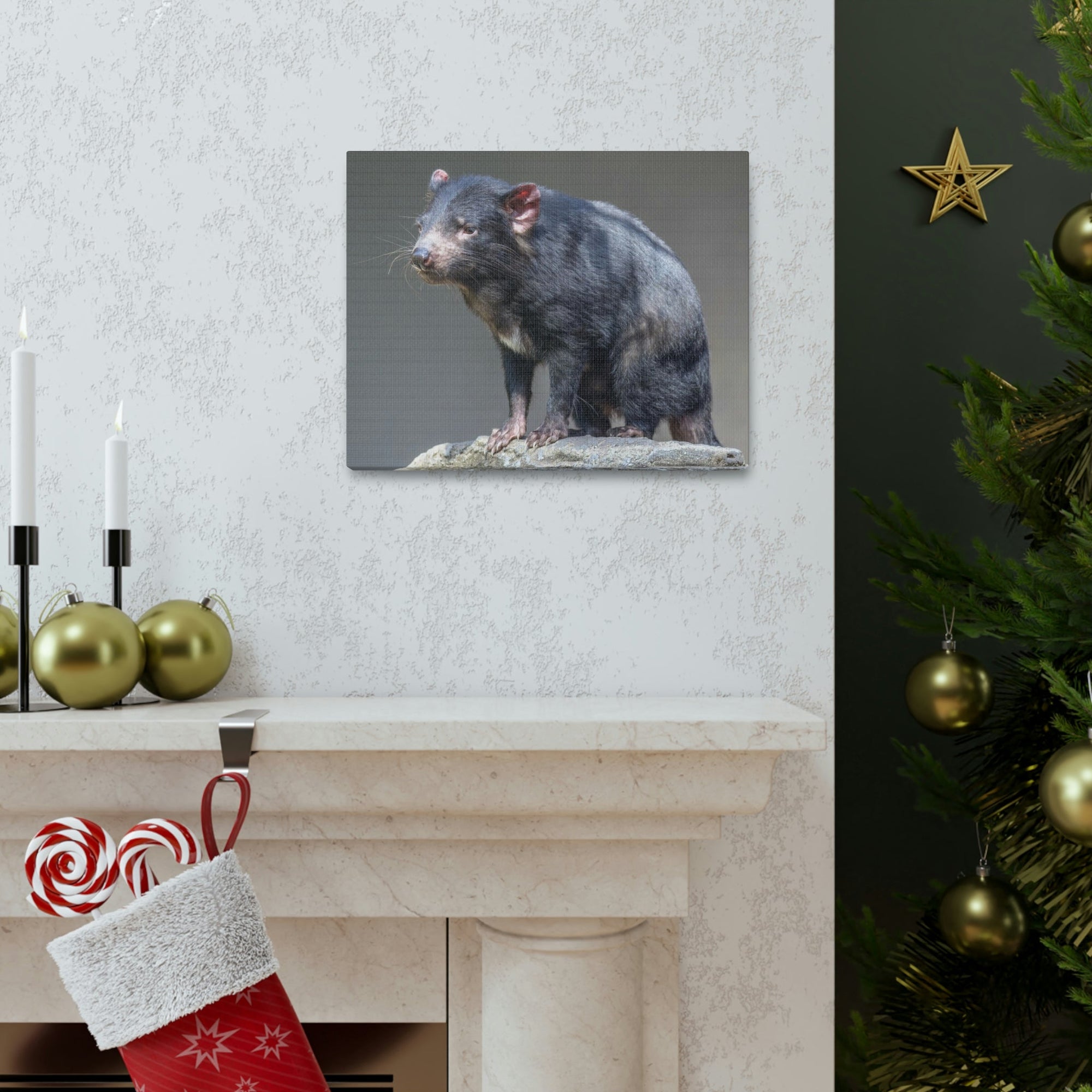 Scripture Walls Tasmanian Devil Hunting Tasmanian Devil on Hunt Print Animal Wall Art Wildlife Canvas Prints Wall Art Ready to Hang Unframed-Express Your Love Gifts