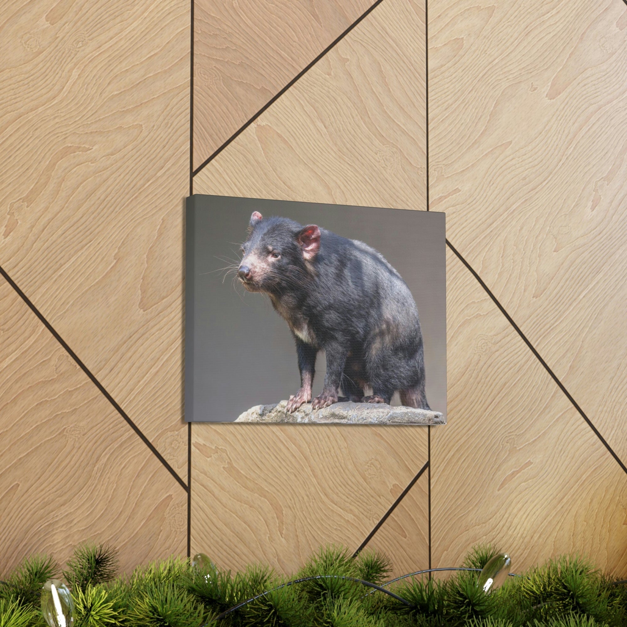 Scripture Walls Tasmanian Devil Hunting Tasmanian Devil on Hunt Print Animal Wall Art Wildlife Canvas Prints Wall Art Ready to Hang Unframed-Express Your Love Gifts