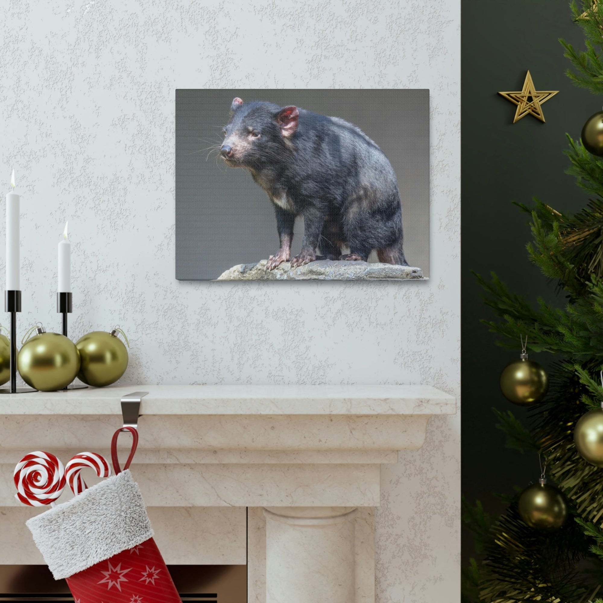 Scripture Walls Tasmanian Devil Hunting Tasmanian Devil on Hunt Print Animal Wall Art Wildlife Canvas Prints Wall Art Ready to Hang Unframed-Express Your Love Gifts