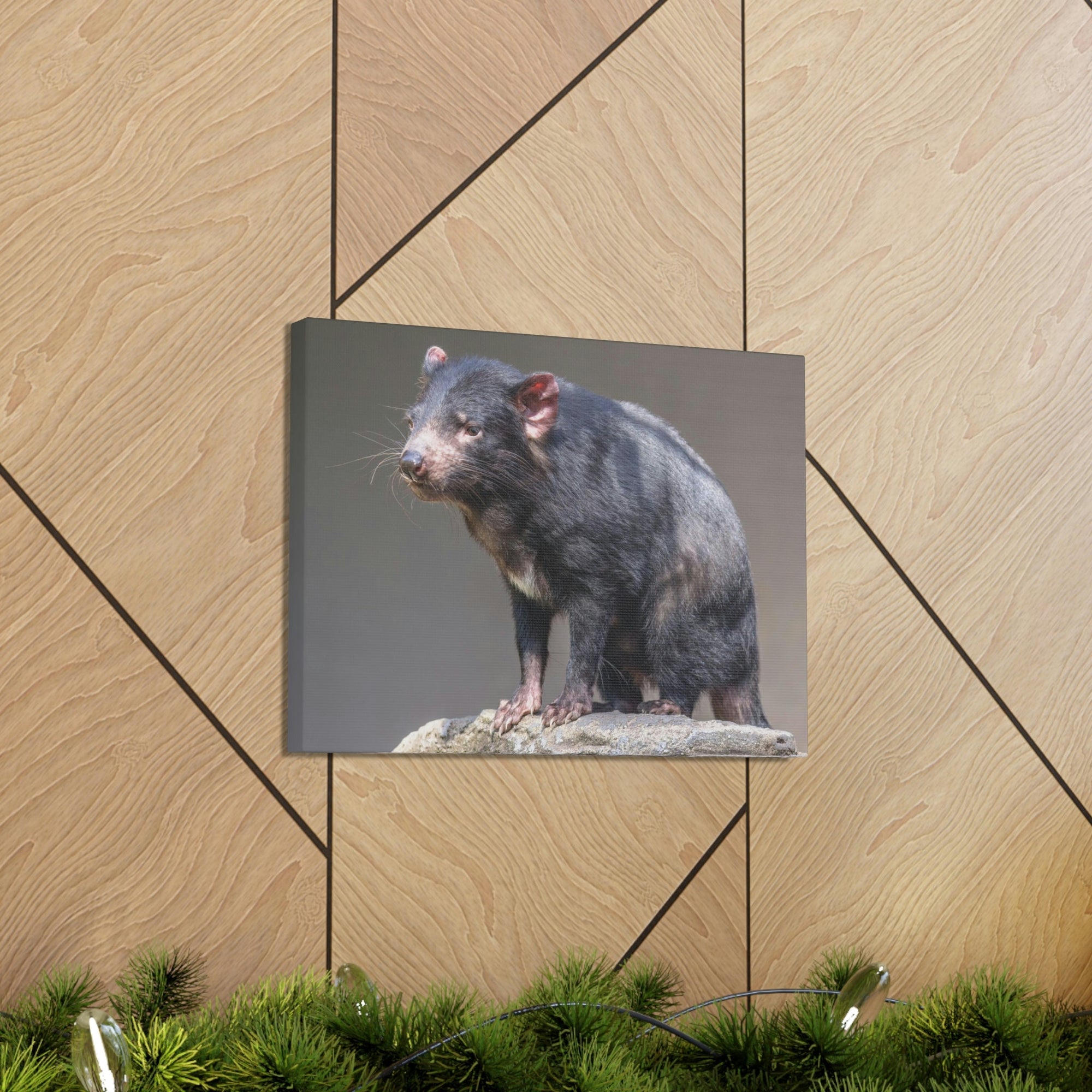 Scripture Walls Tasmanian Devil Hunting Tasmanian Devil on Hunt Print Animal Wall Art Wildlife Canvas Prints Wall Art Ready to Hang Unframed-Express Your Love Gifts