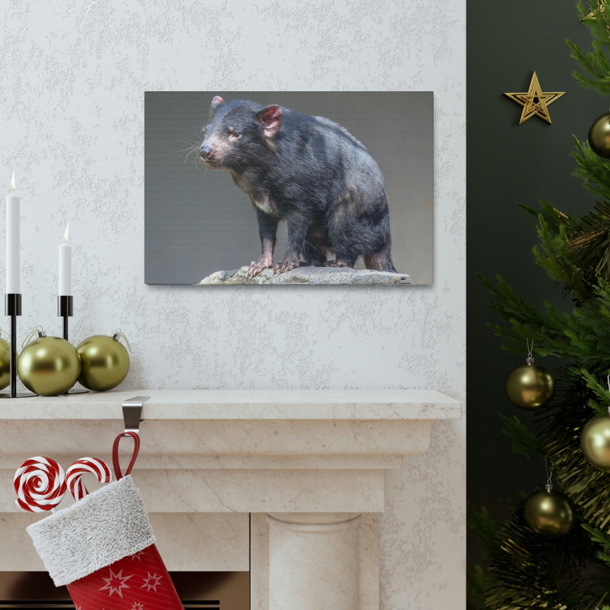 Scripture Walls Tasmanian Devil Hunting Tasmanian Devil on Hunt Print Animal Wall Art Wildlife Canvas Prints Wall Art Ready to Hang Unframed-Express Your Love Gifts