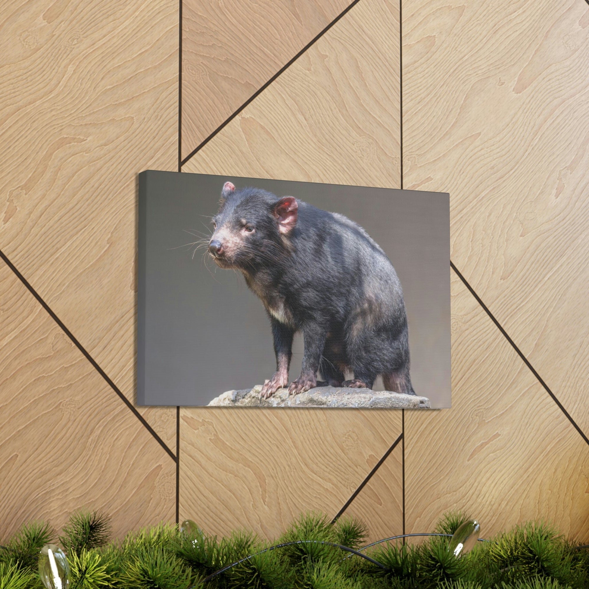 Scripture Walls Tasmanian Devil Hunting Tasmanian Devil on Hunt Print Animal Wall Art Wildlife Canvas Prints Wall Art Ready to Hang Unframed-Express Your Love Gifts