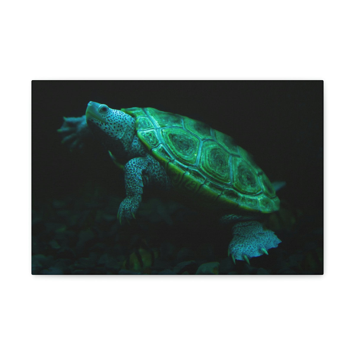 Scripture Walls Terrapin Hunting Terrapin on Hunt Print Animal Wall Art Wildlife Canvas Prints Wall Art Ready to Hang Unframed-Express Your Love Gifts