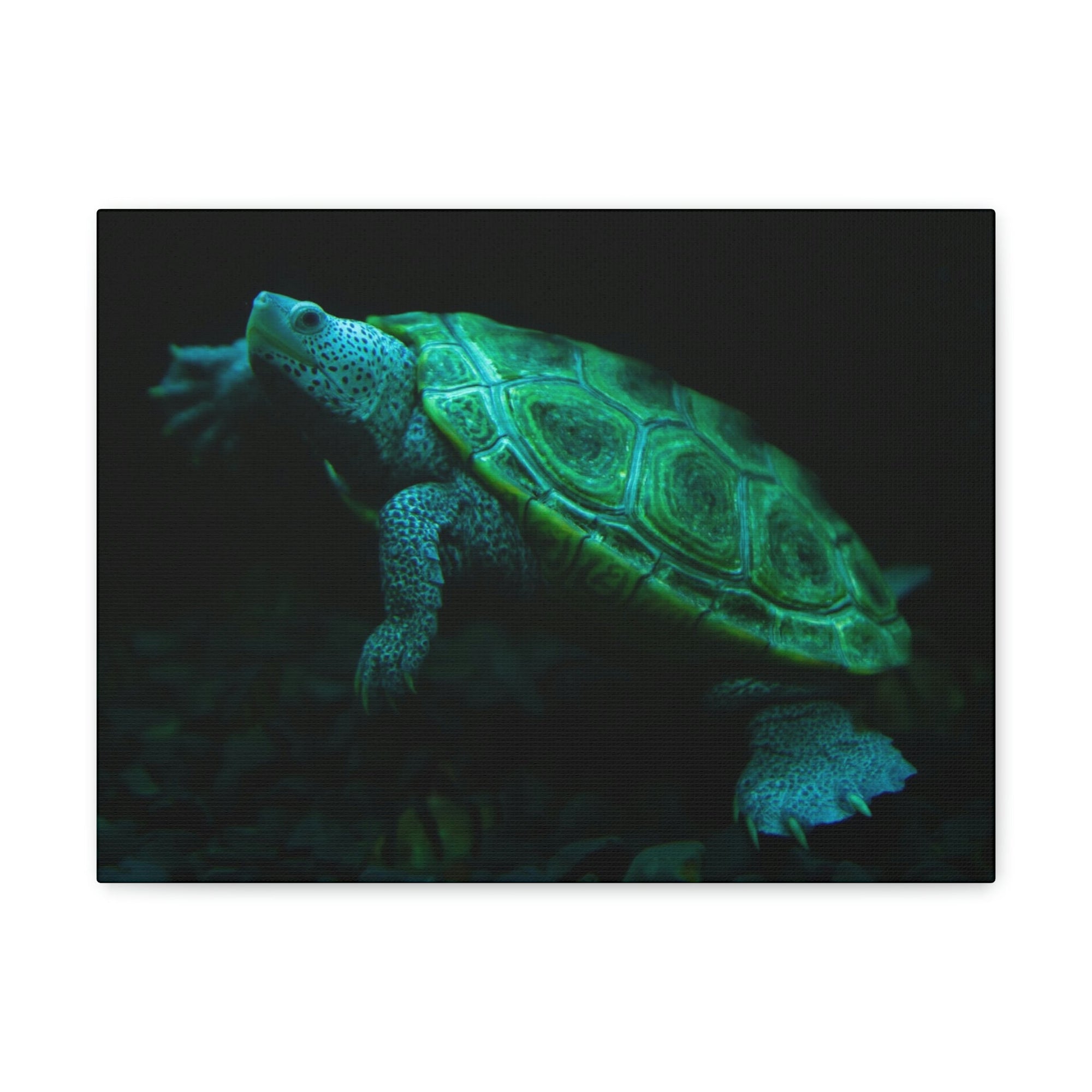 Scripture Walls Terrapin Hunting Terrapin on Hunt Print Animal Wall Art Wildlife Canvas Prints Wall Art Ready to Hang Unframed-Express Your Love Gifts